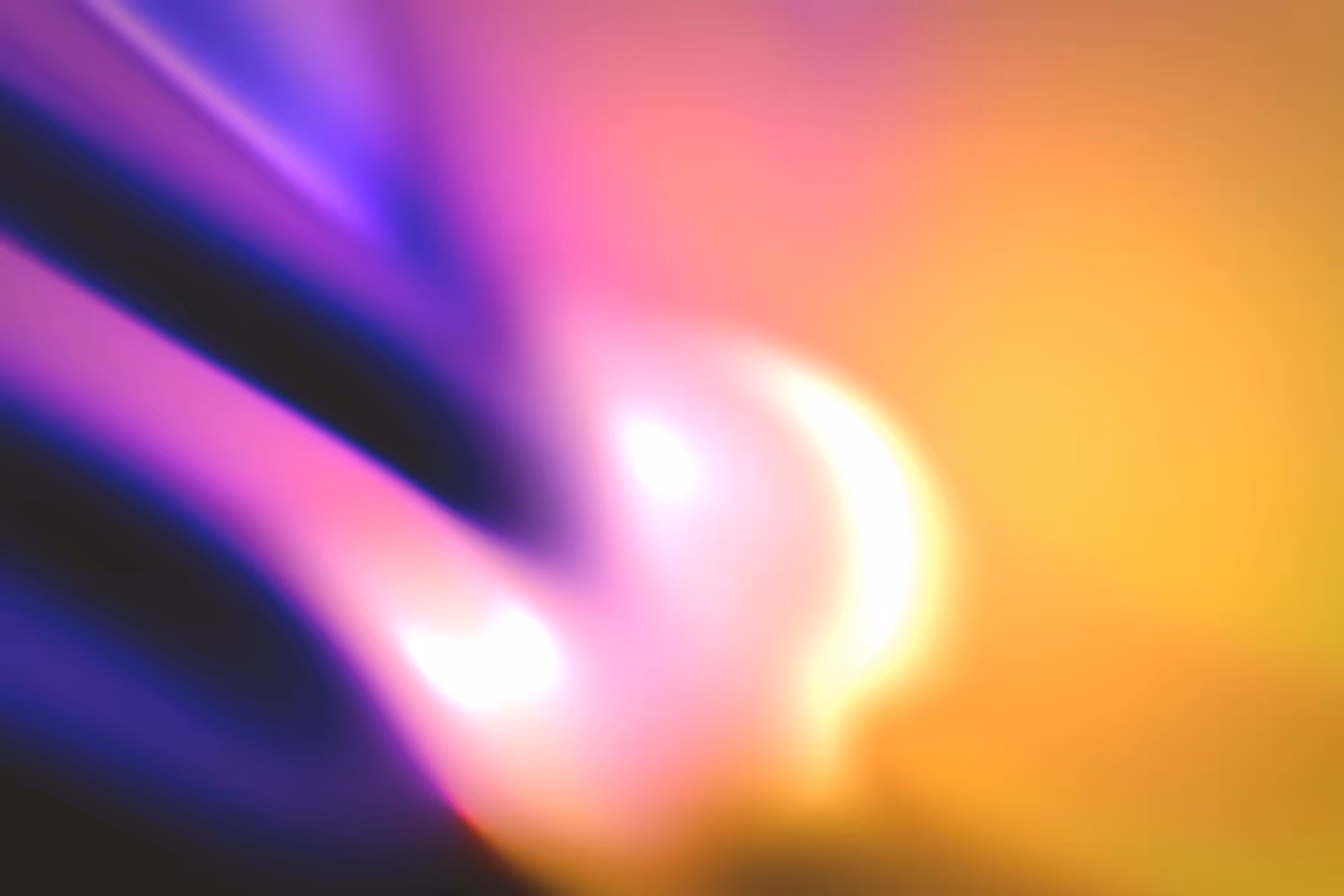 Flux #301