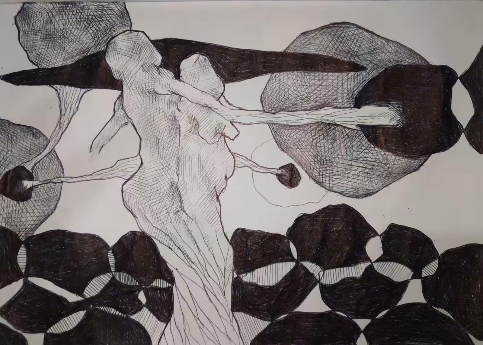 #2 Lost on ur shapes