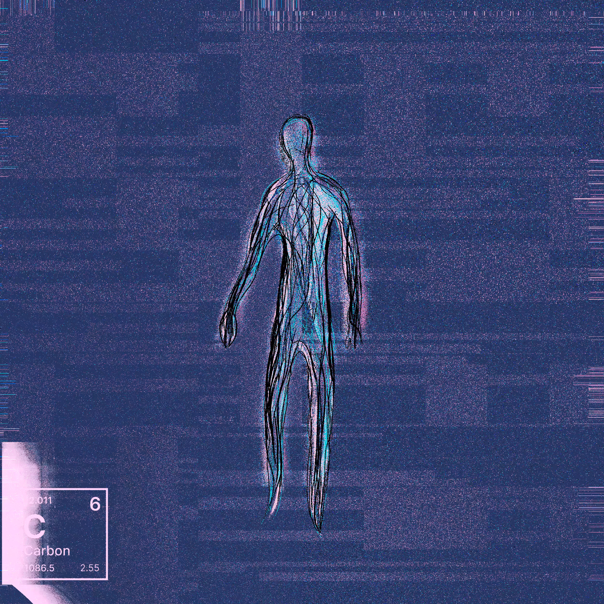 C|6