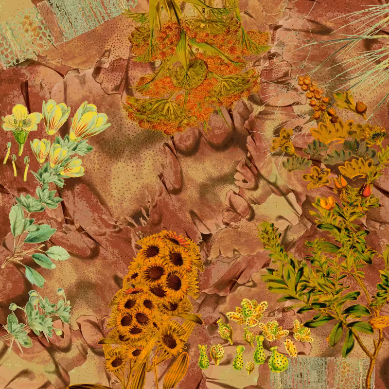 future flora from Antarctica's past #40