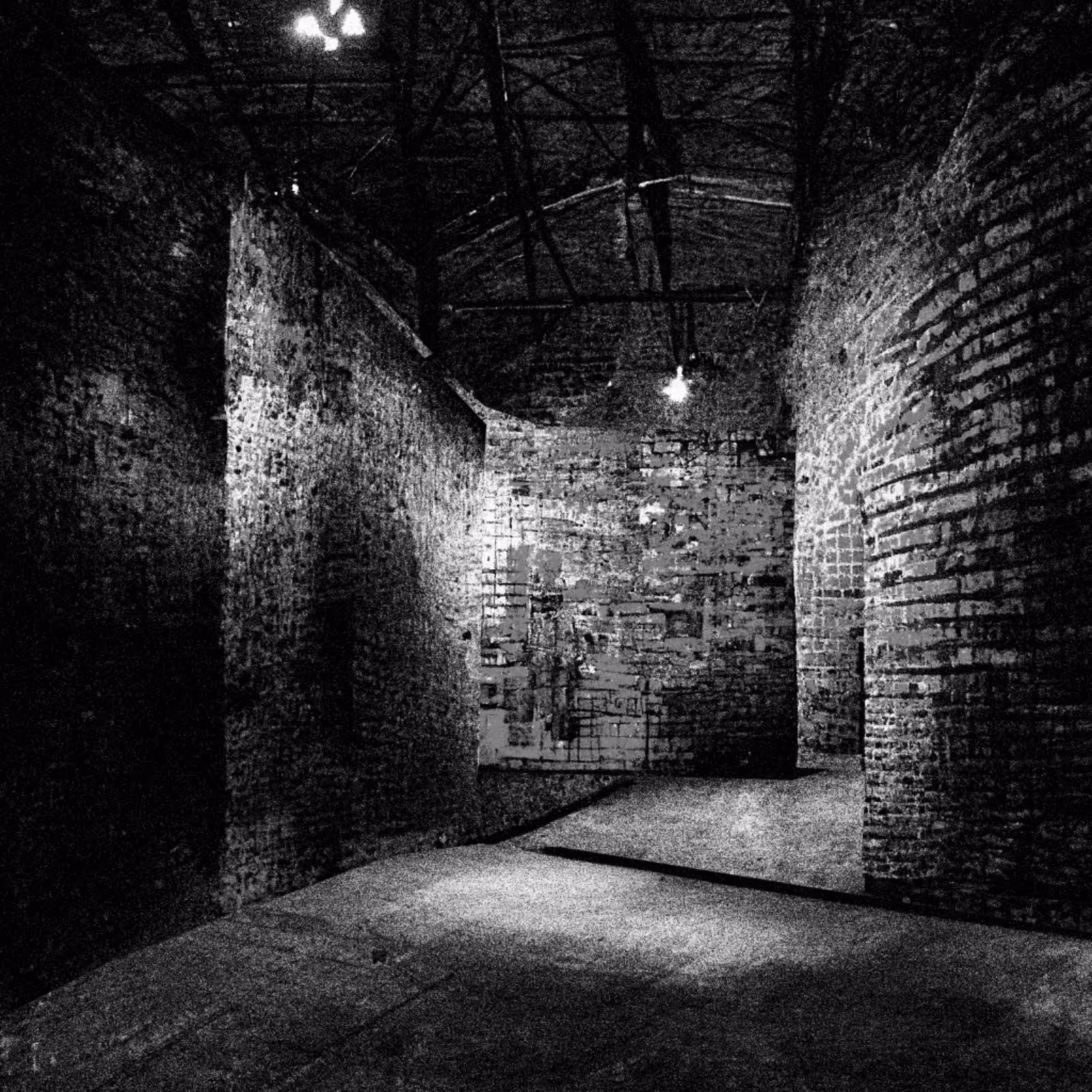 Liminal Newberry #140