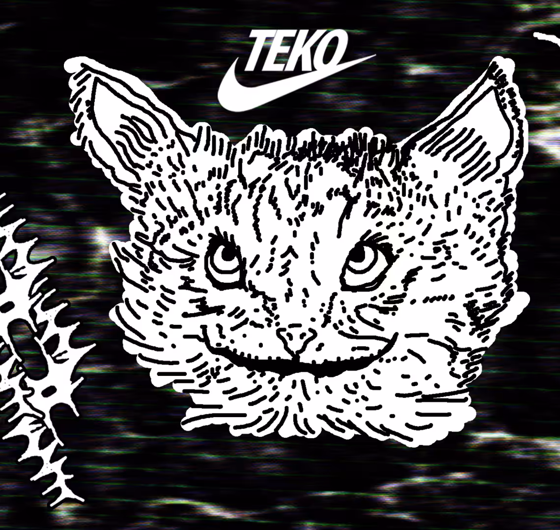 flash_cats02