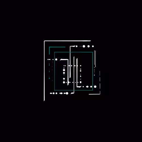 Electronic Singularity