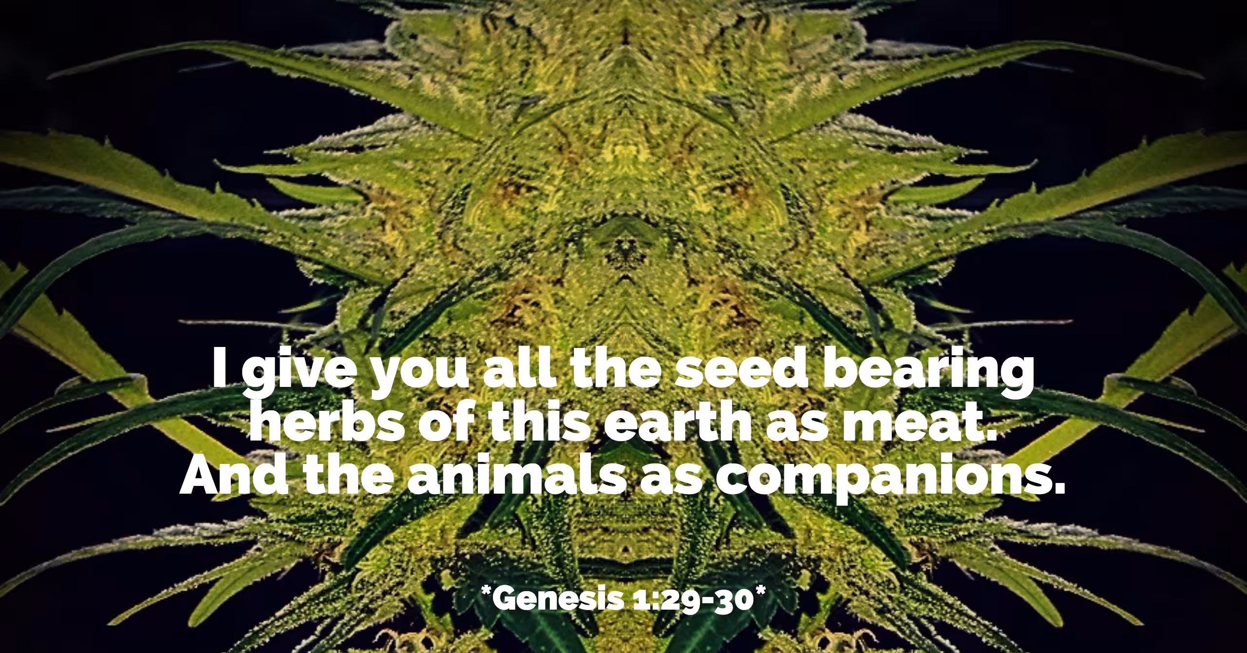 Seed Bearing Herb