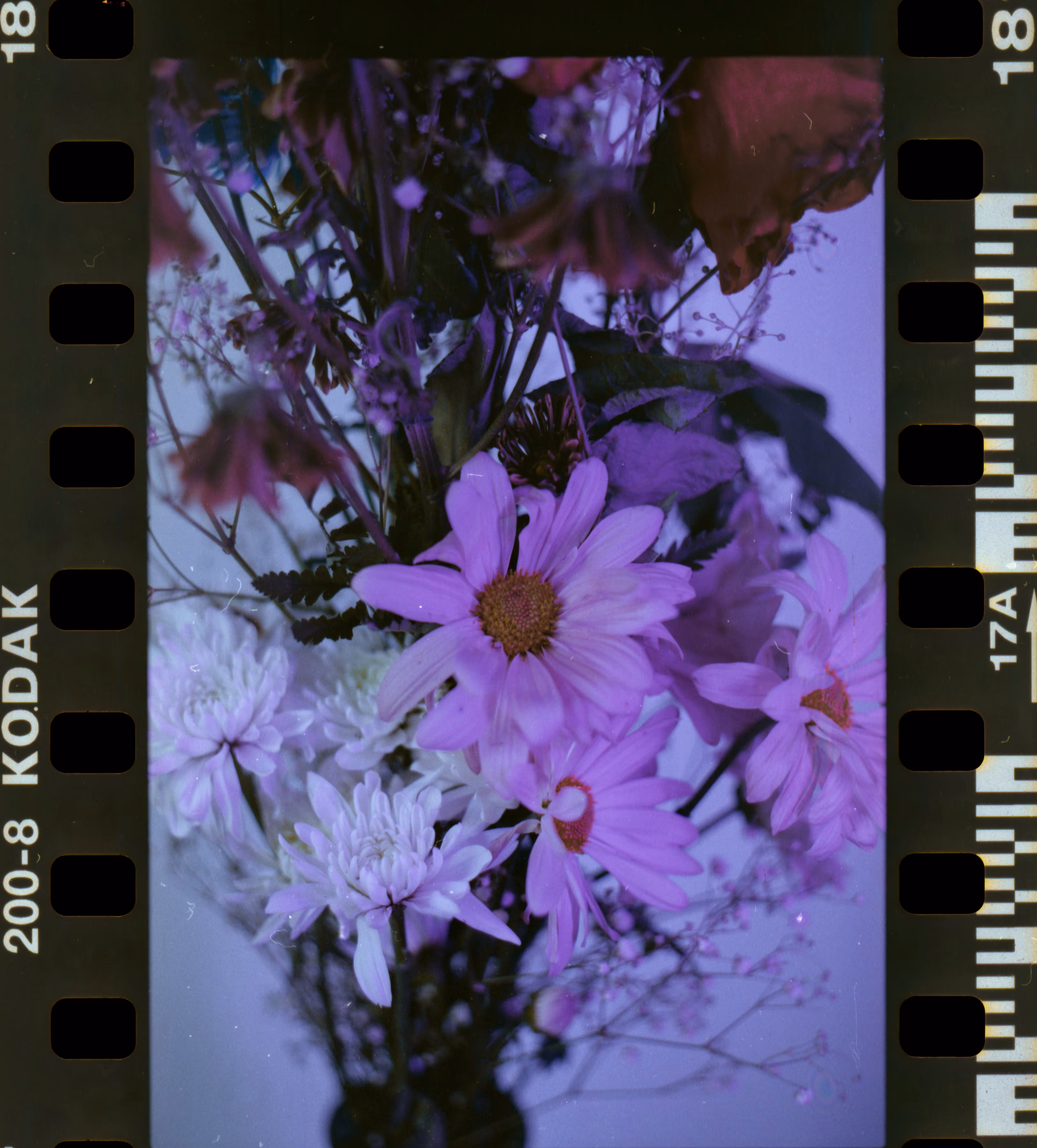 Color + Frame 18