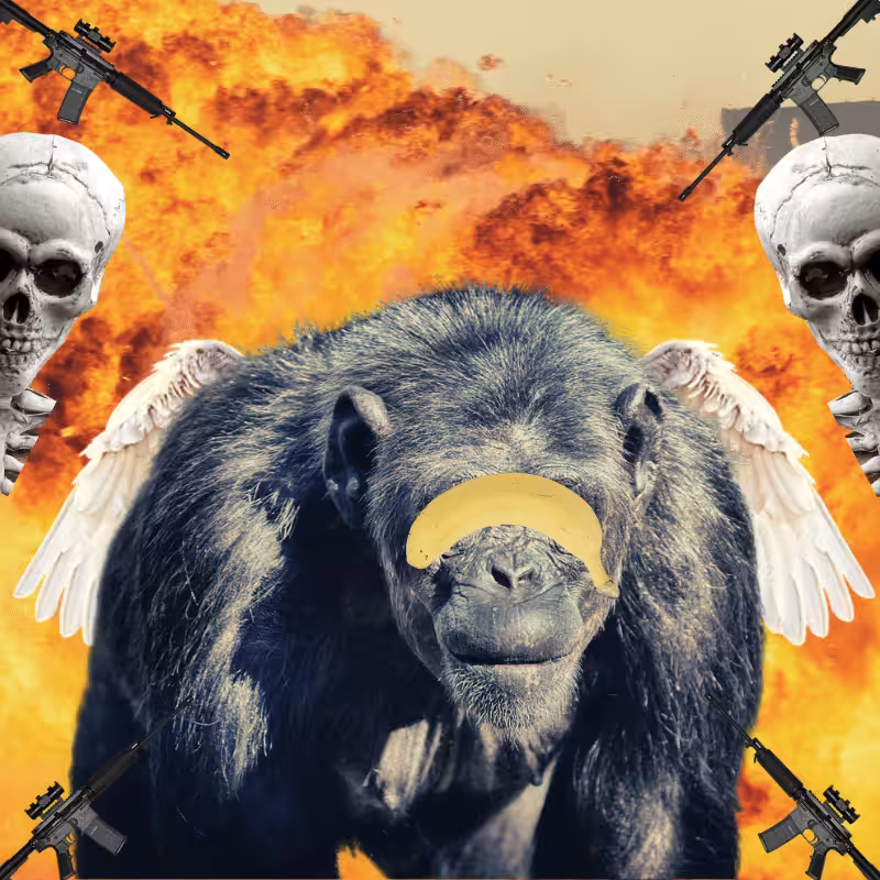 Blinded apes #49