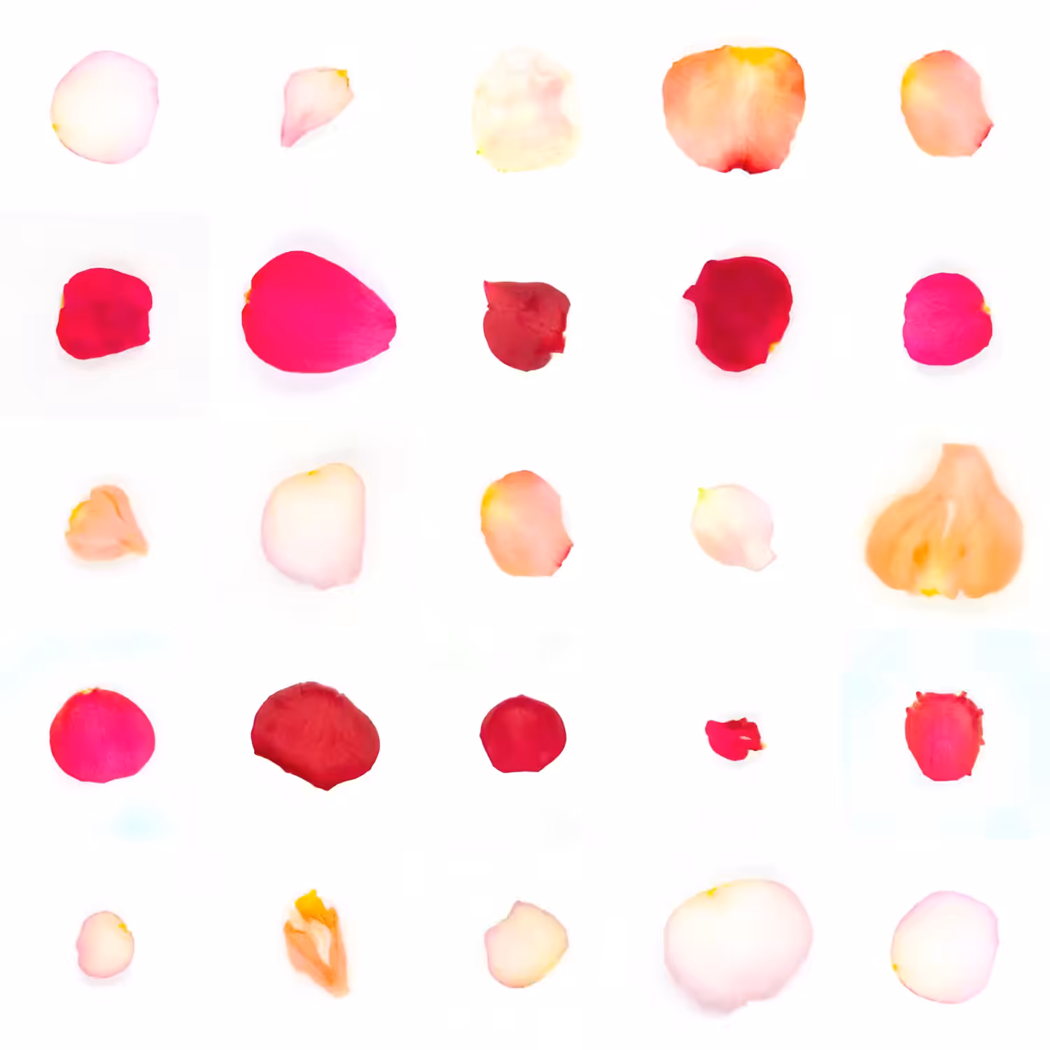 Infinite Petals 5x5#20070