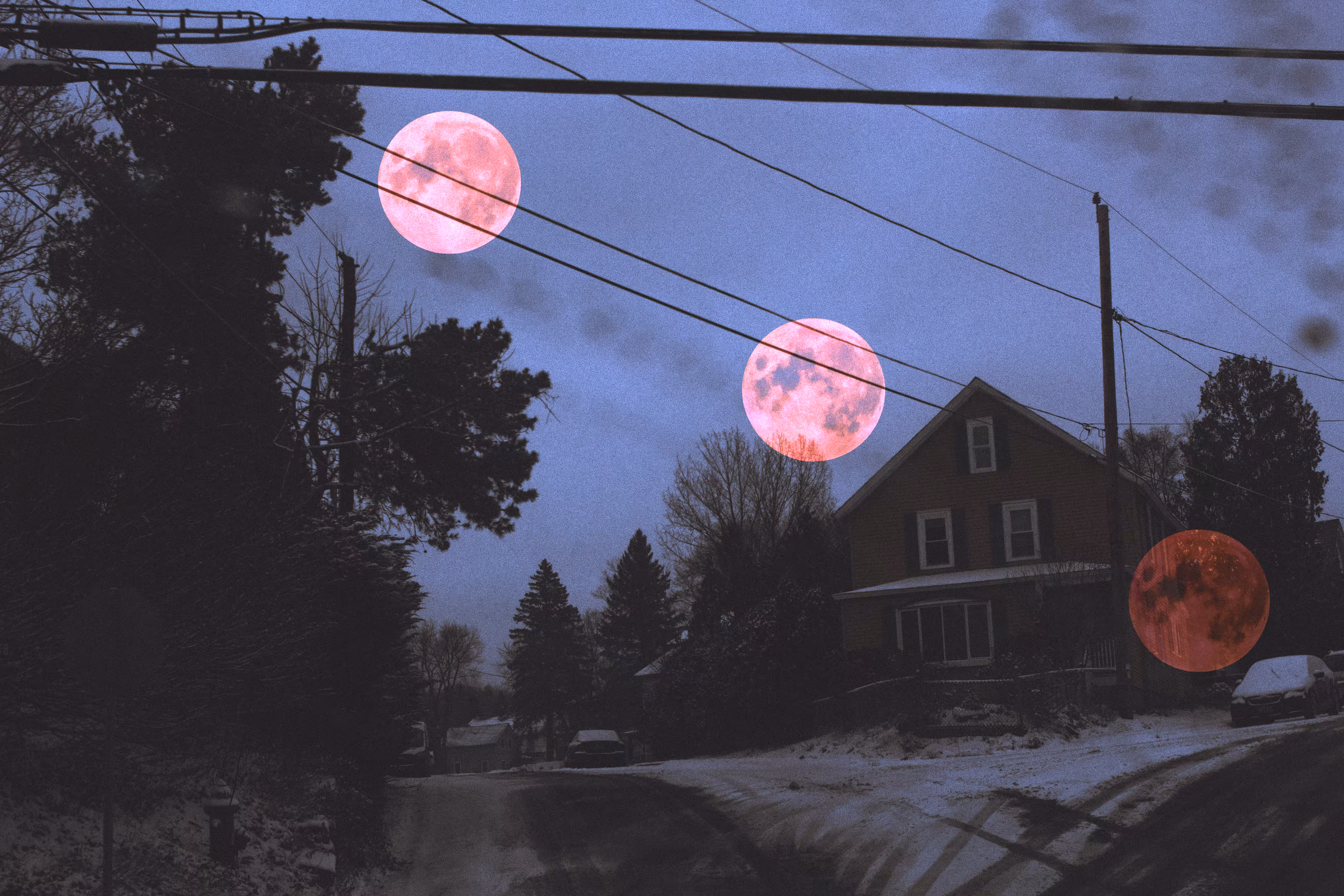 winter nights