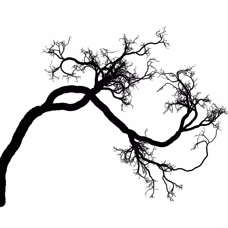 Tree 01 #114