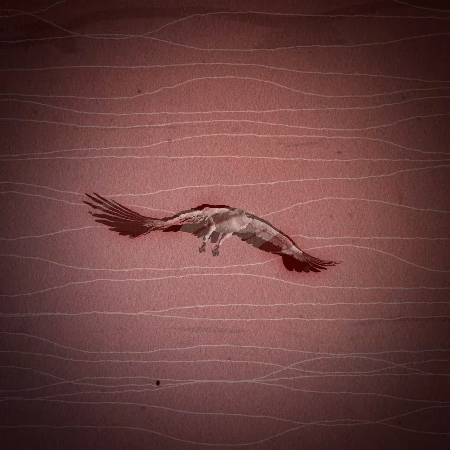 pájaros. II