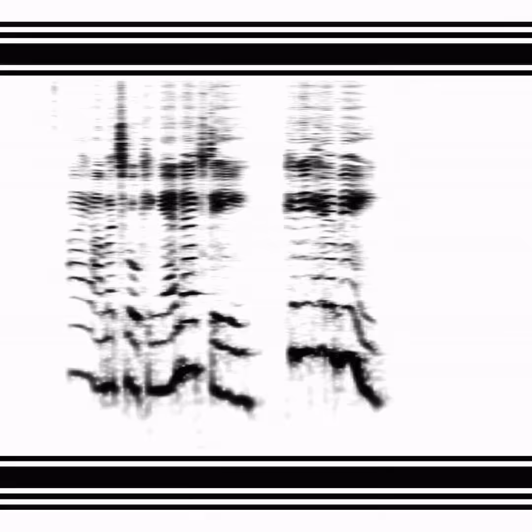 I am a Talking NFT. Can you hear me?