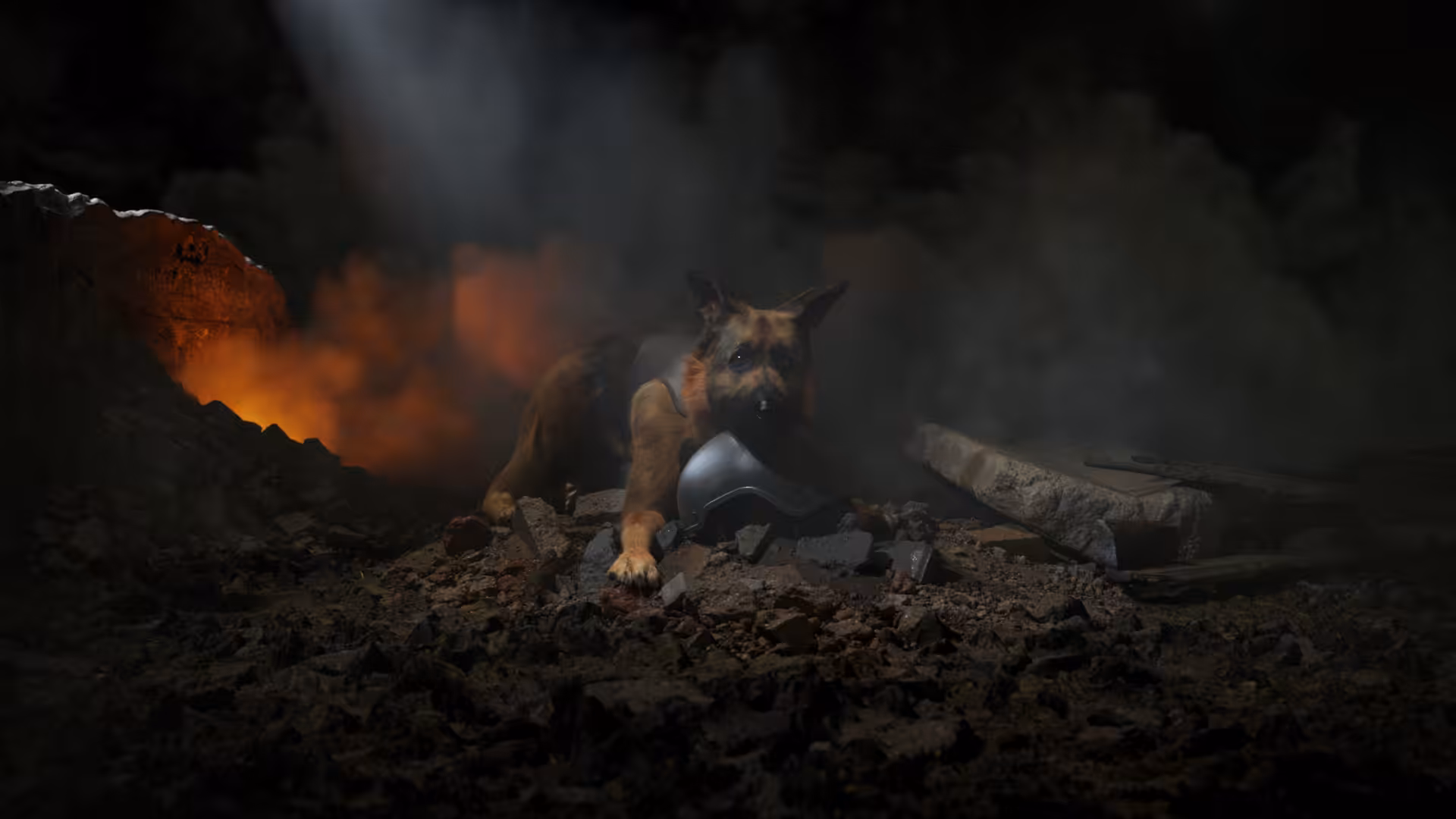 Dog of war - Original