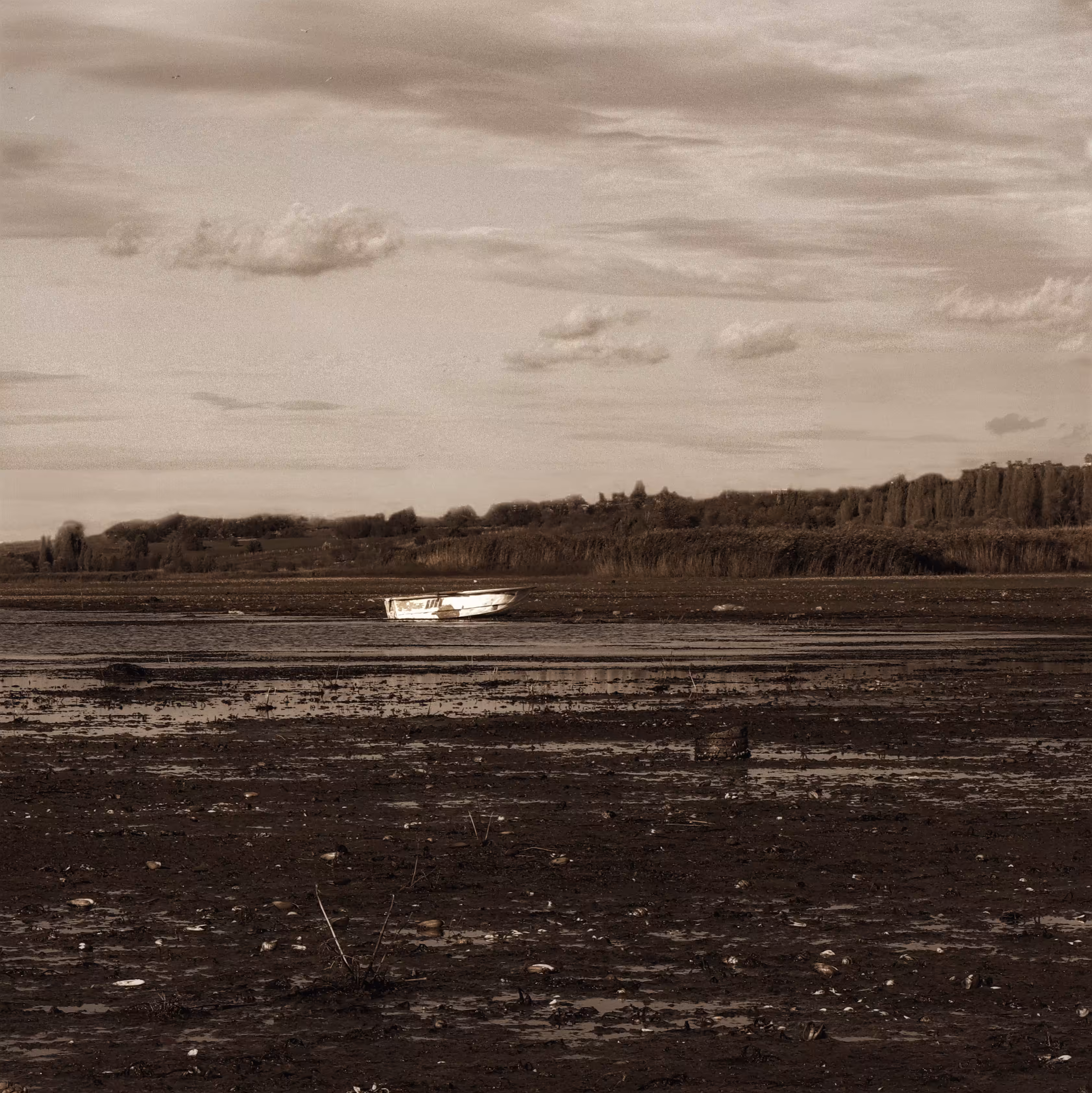 Swamp of the Loneyl 