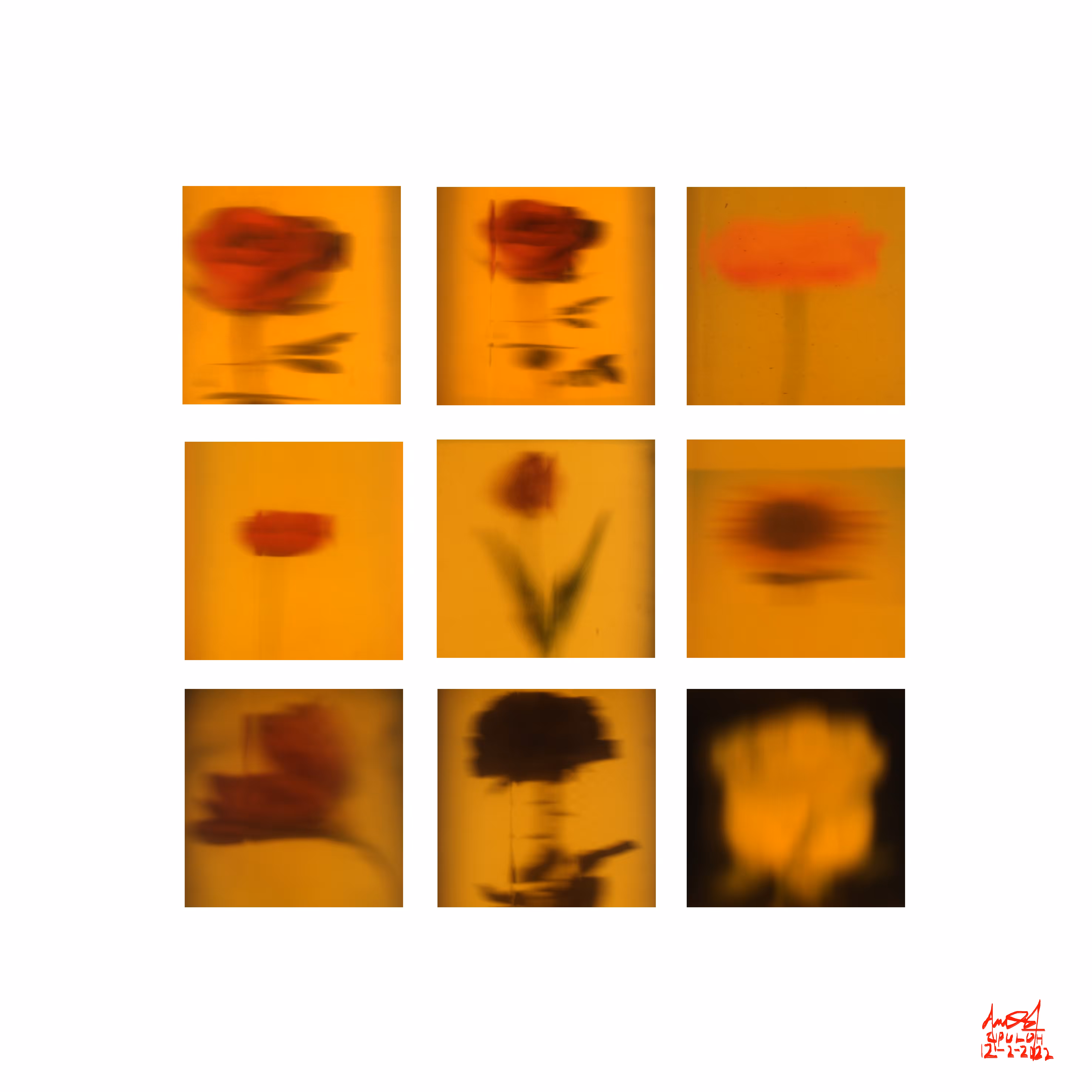 Paliggesia