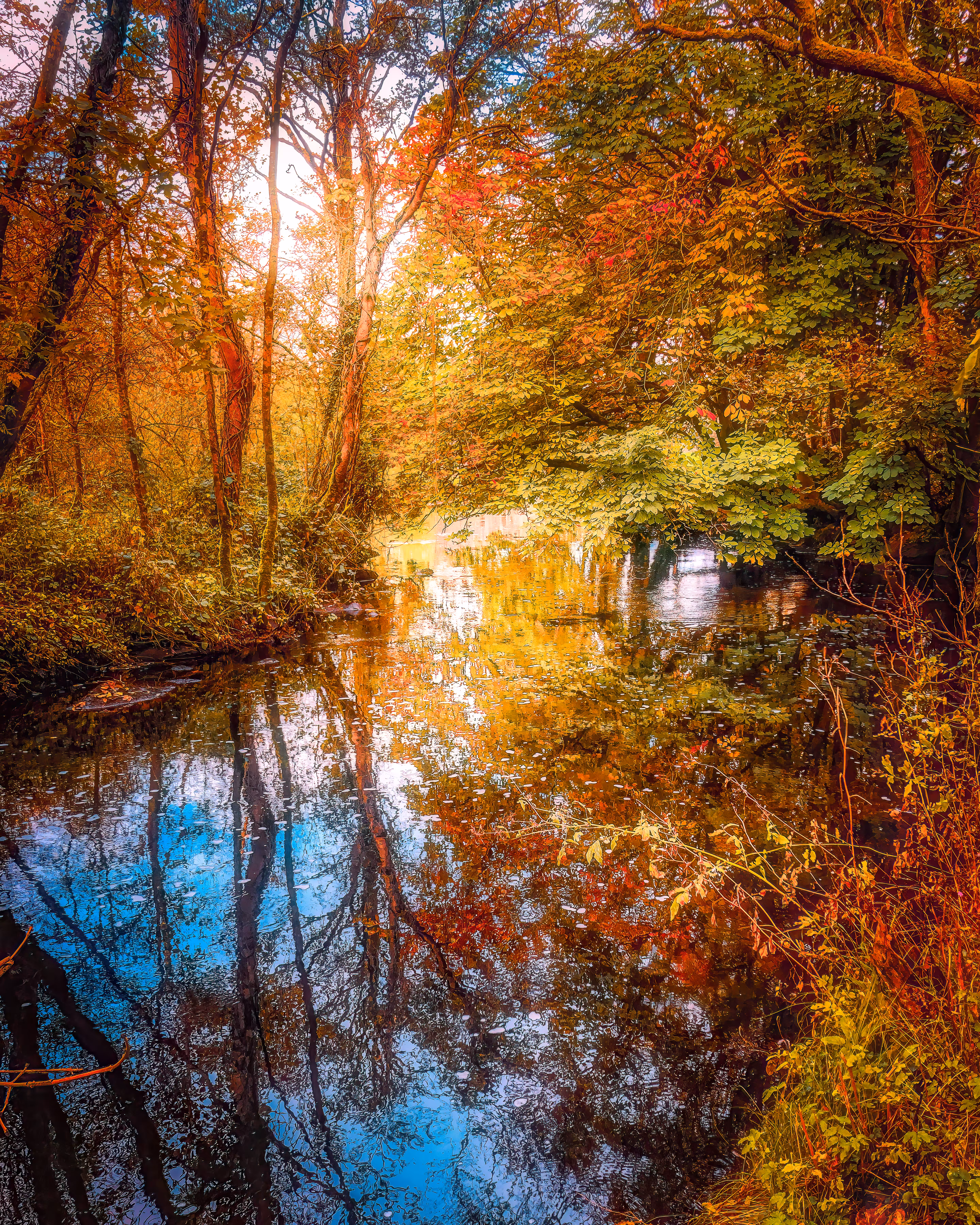 Autumn Reflections