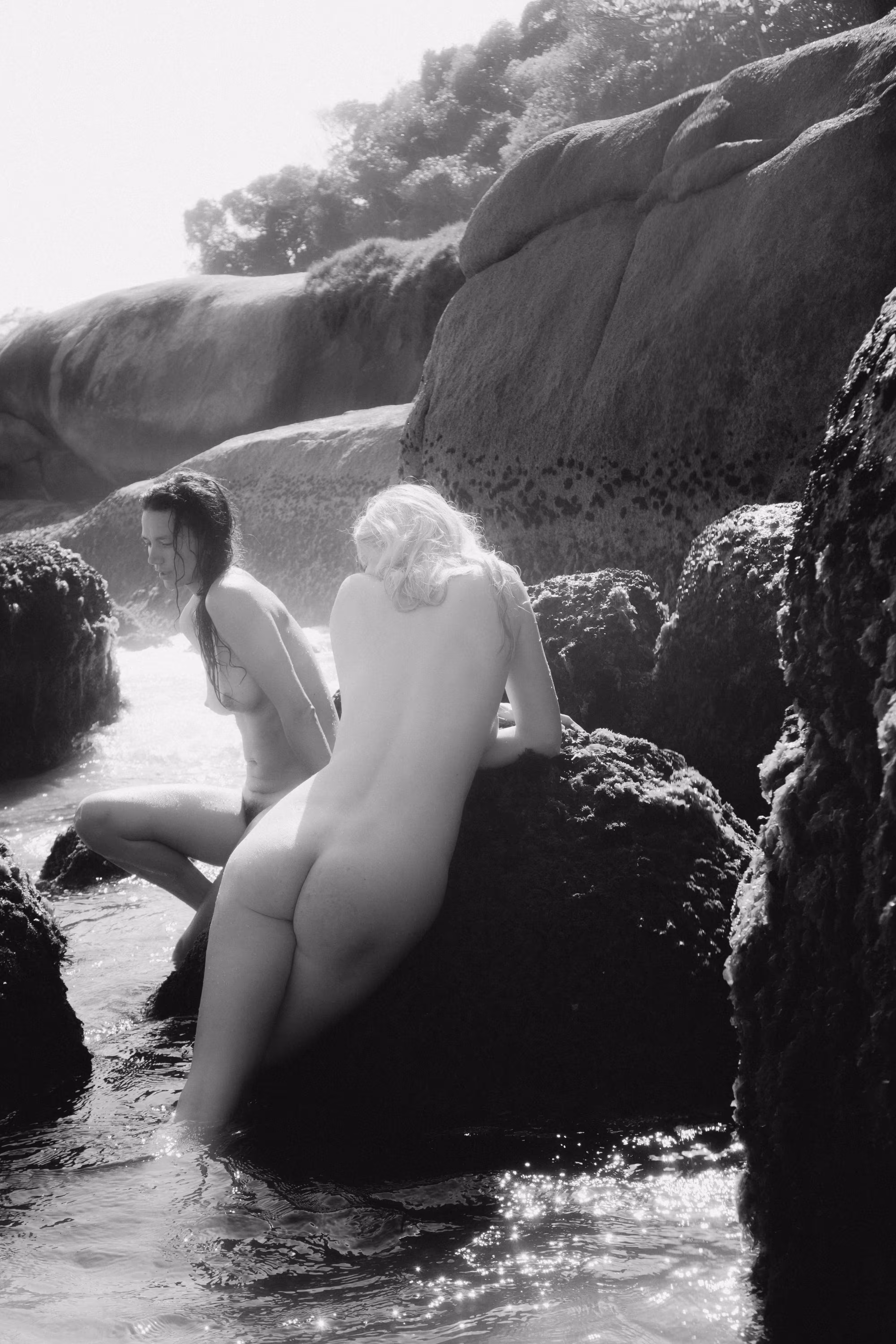 Tidal Whispers