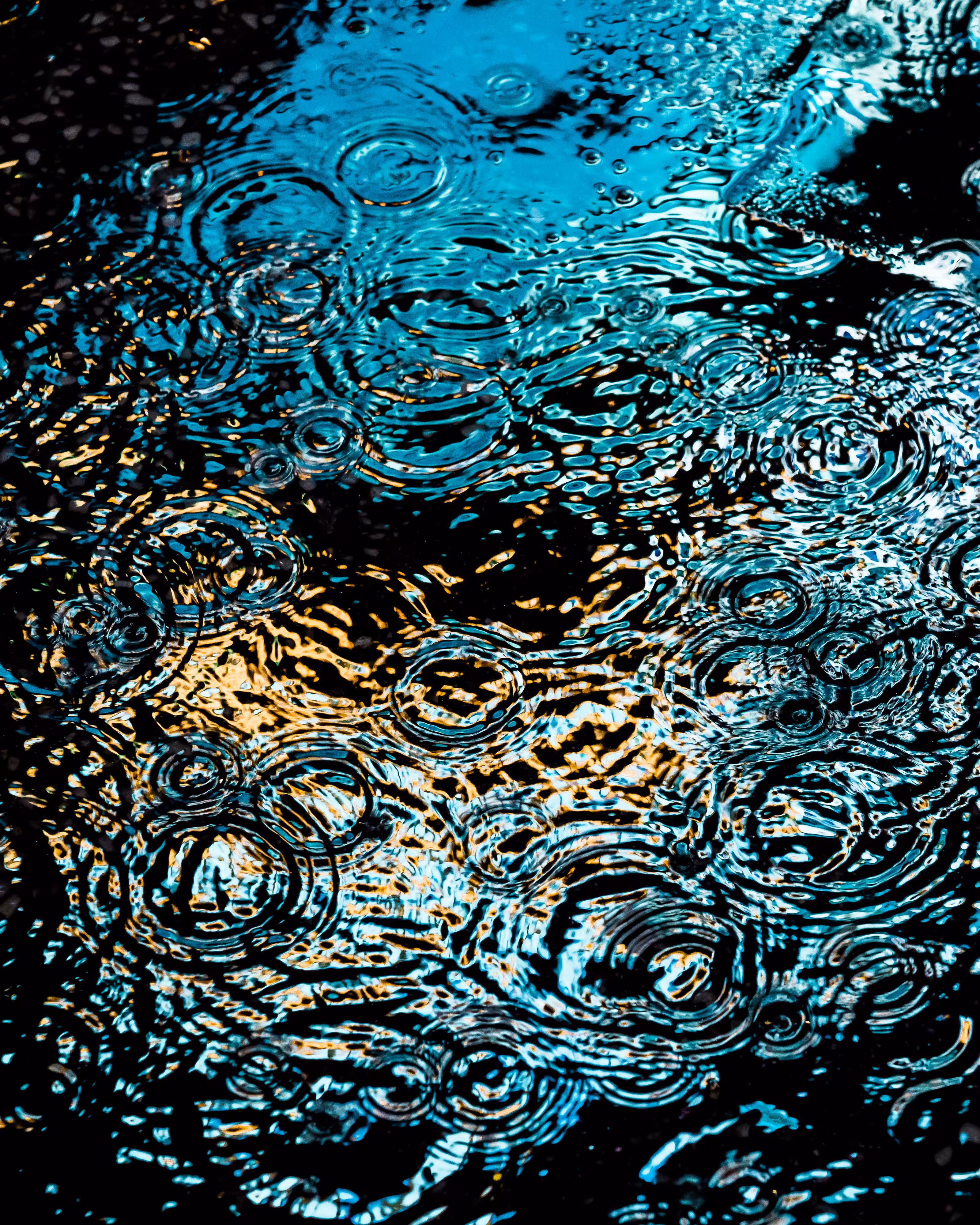 DRIP DROP: DRIP #658