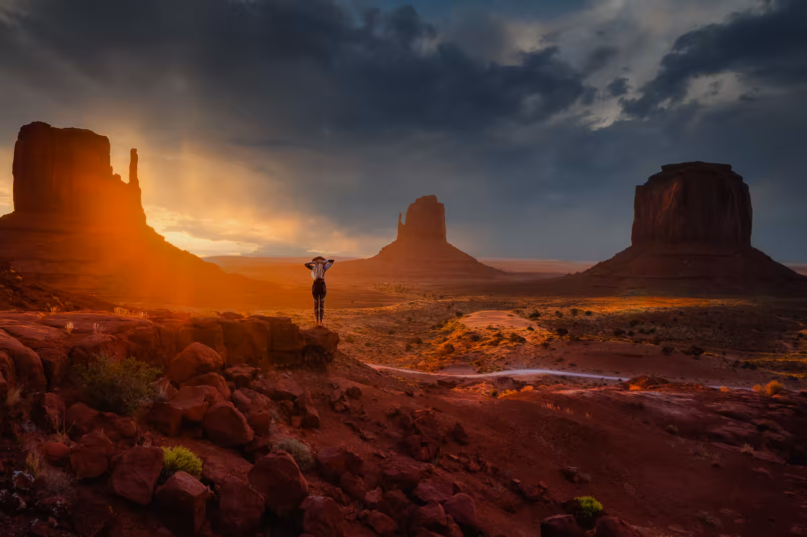 DESERT SOLITAIRE