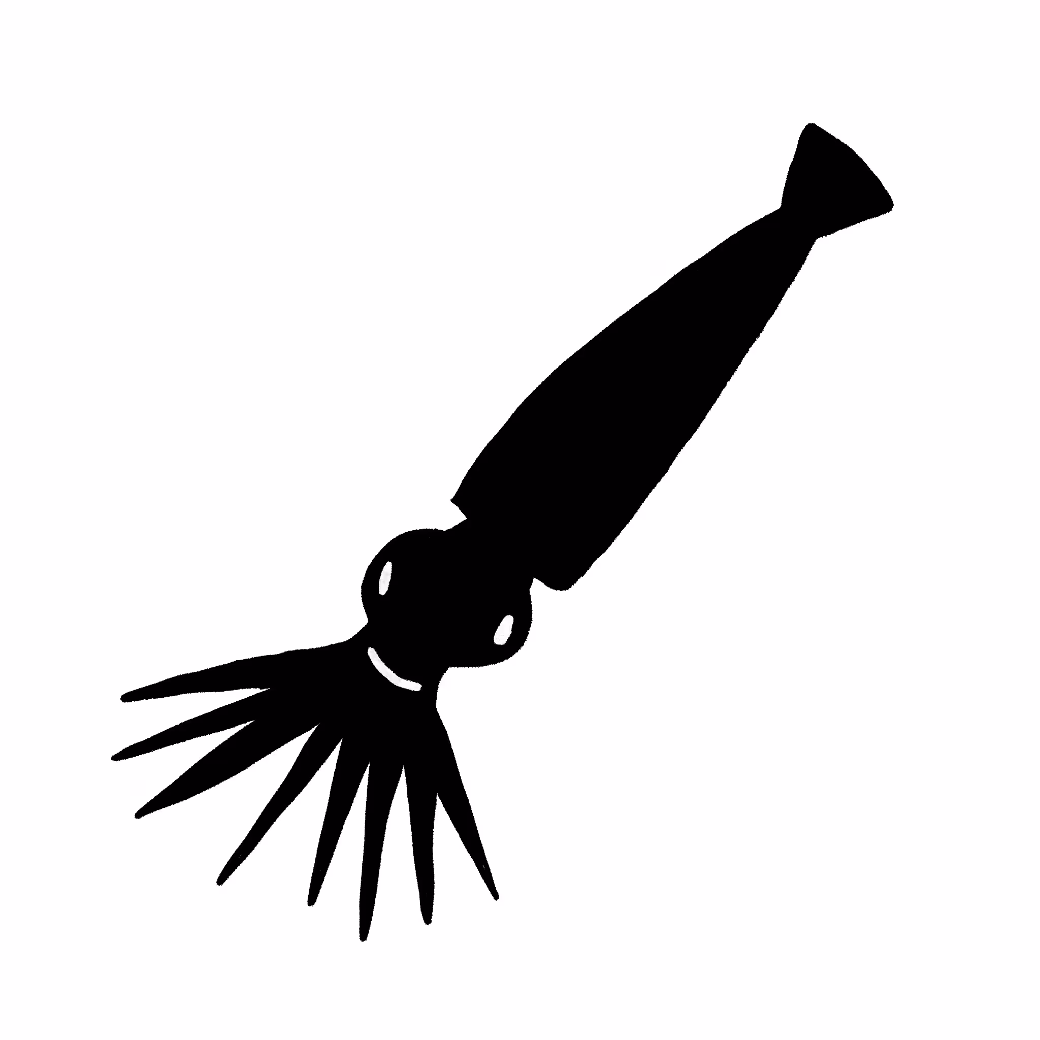 Belemnite