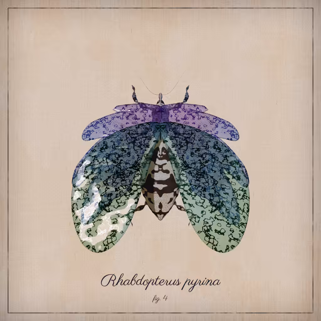 ProcGen Entomology #2