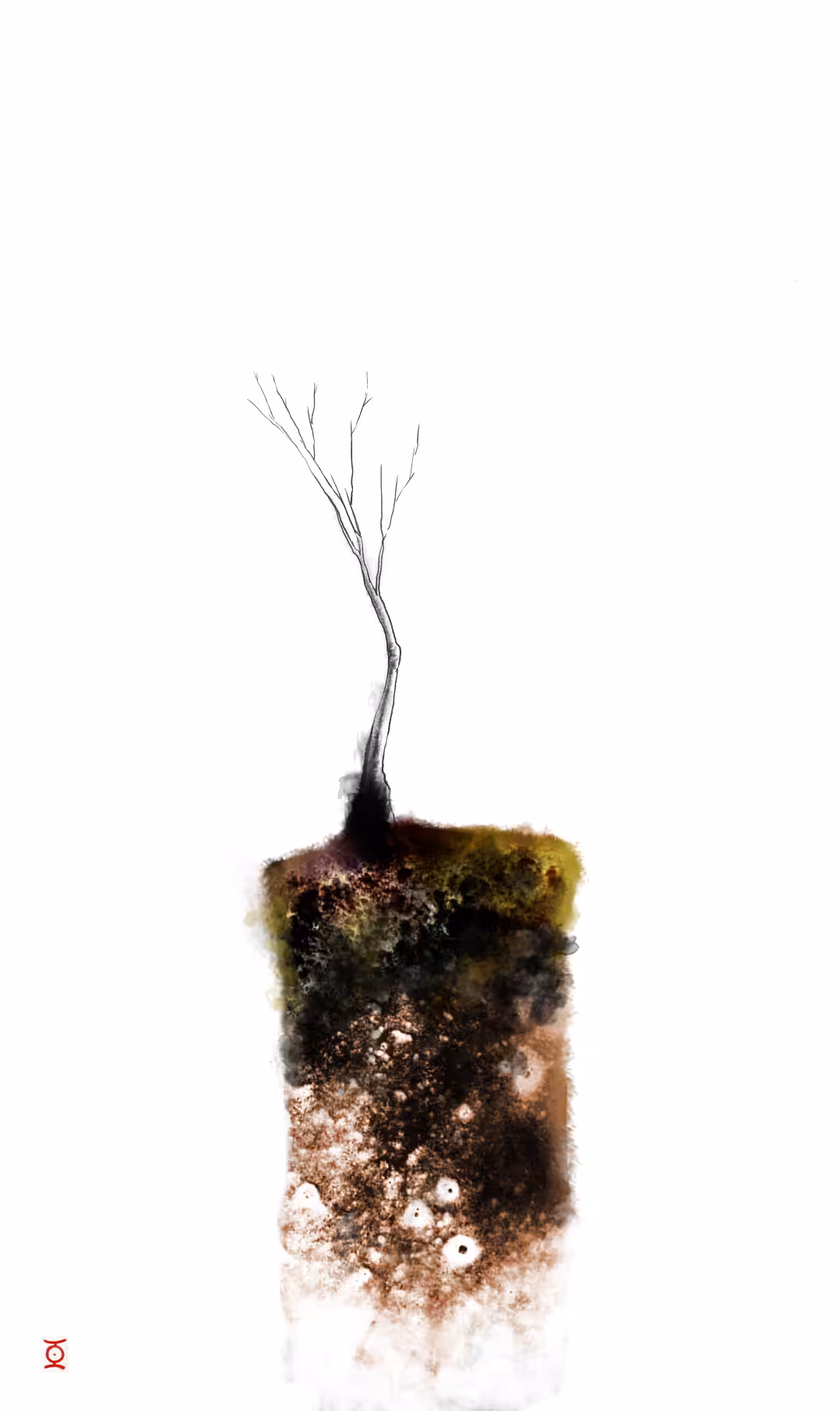 Landscape 10