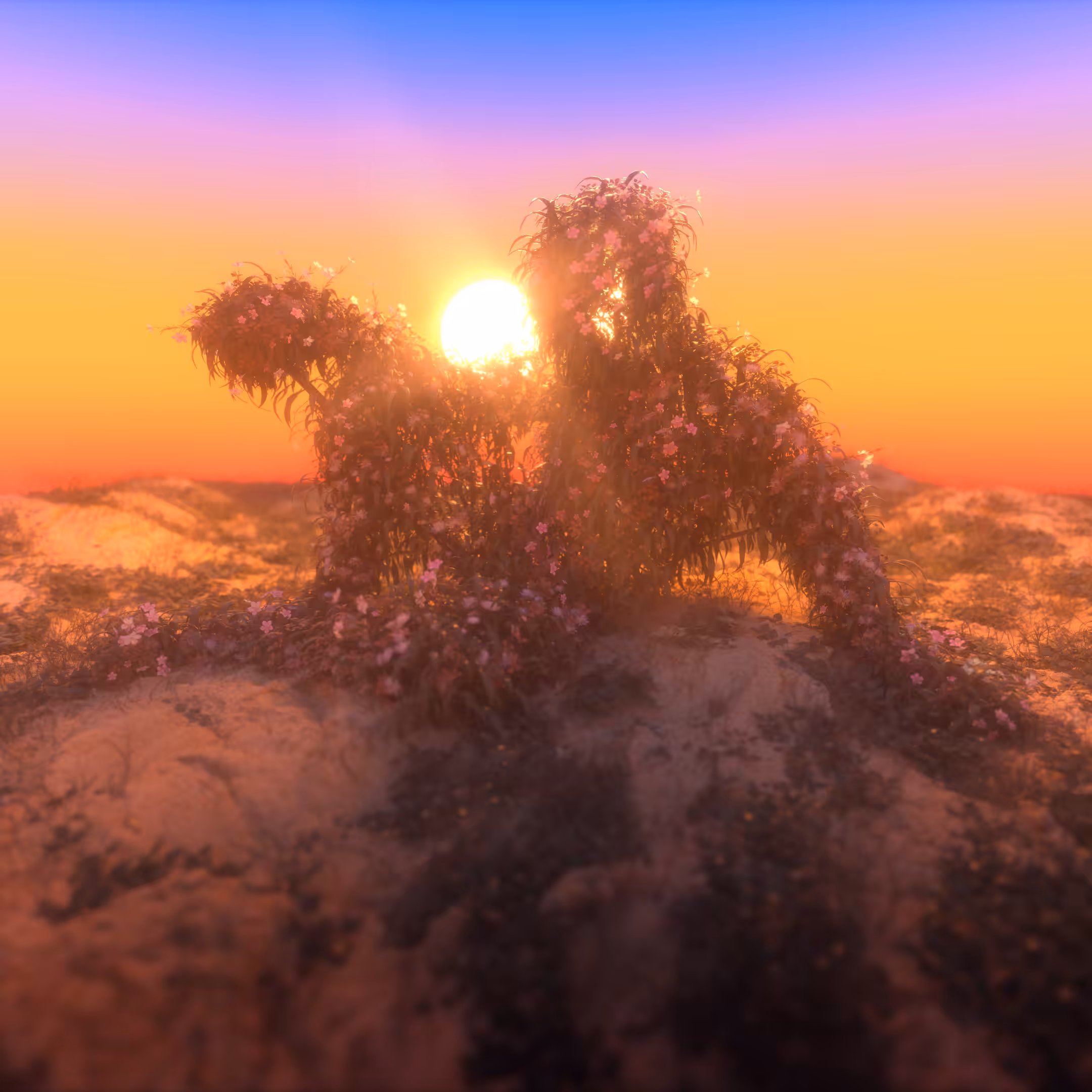 DUNES