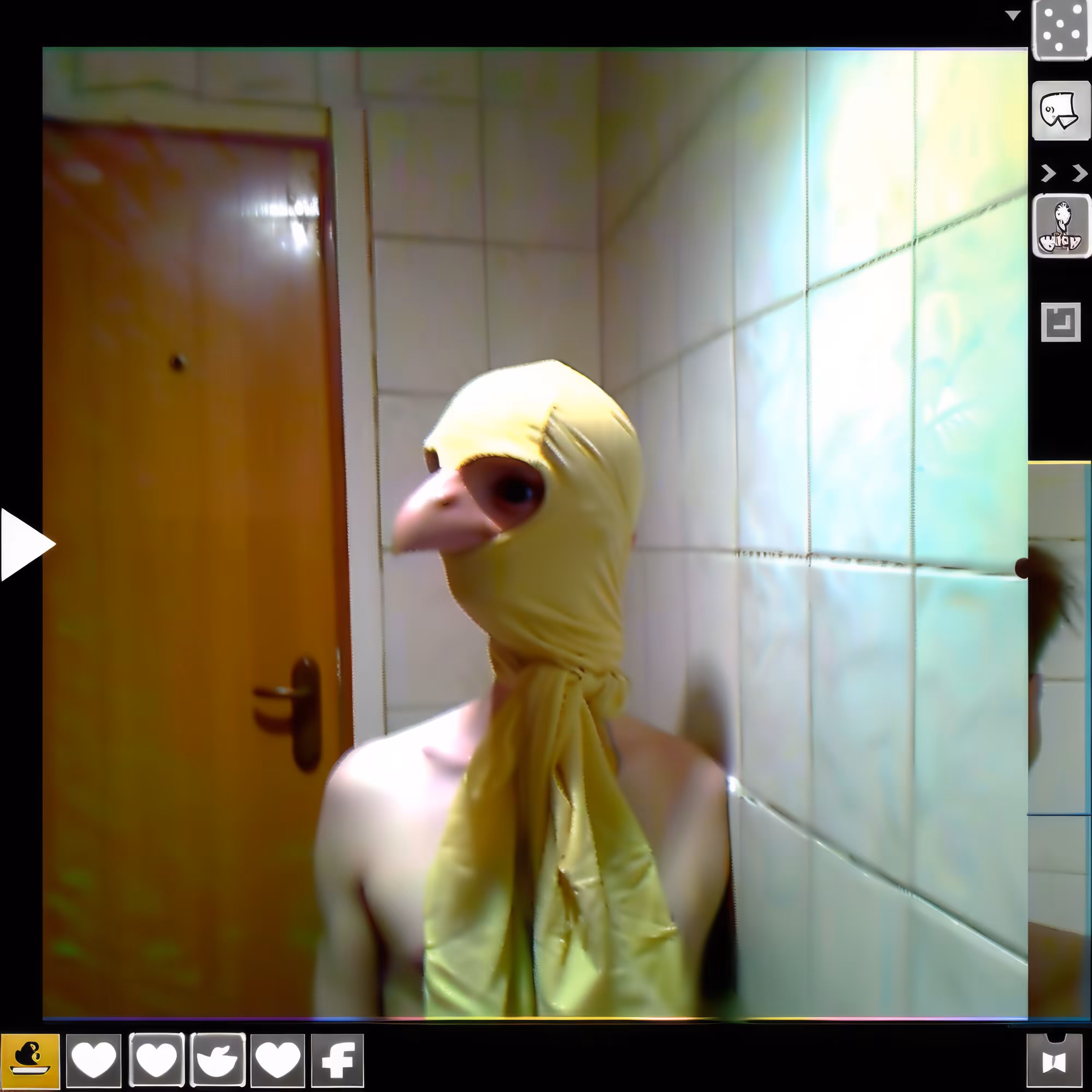BAD JPEGs: Bird-Cosplay