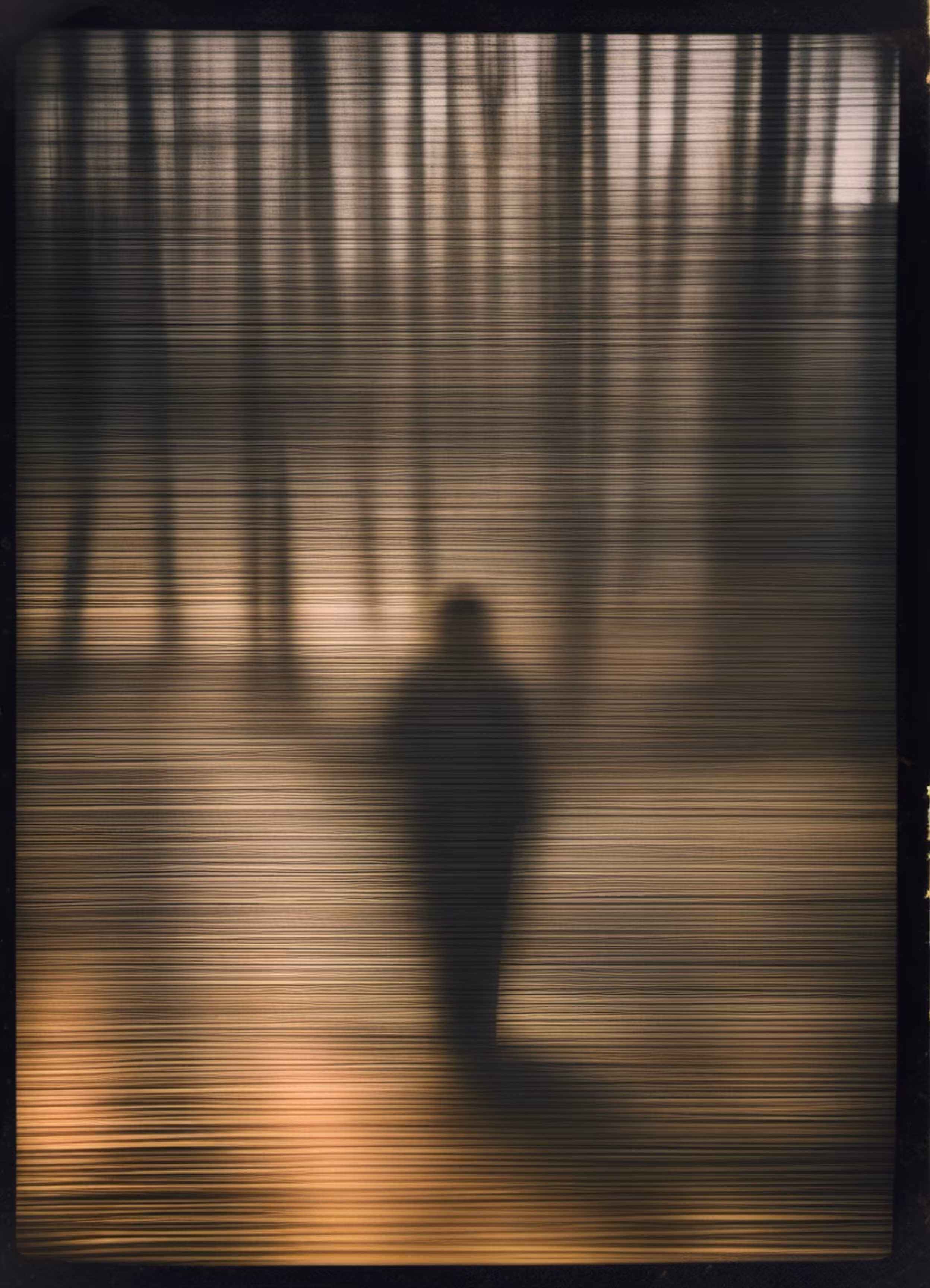 Summer Distortions #84