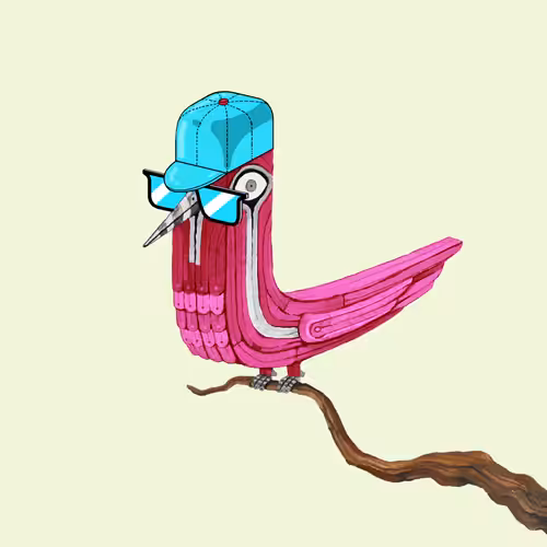 Bolbol, The Bird 078