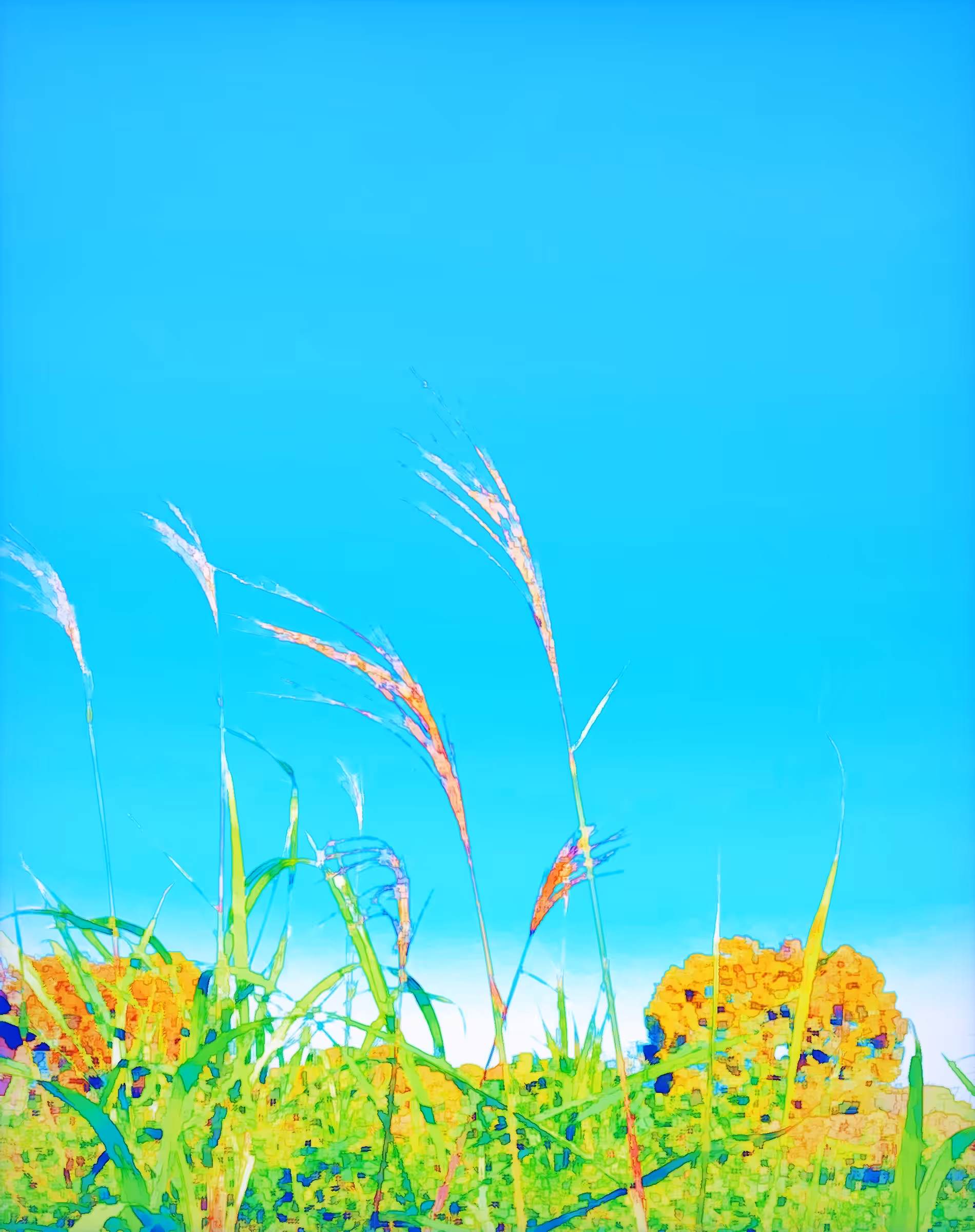 Miraculous Color: 秋　AKI   #2