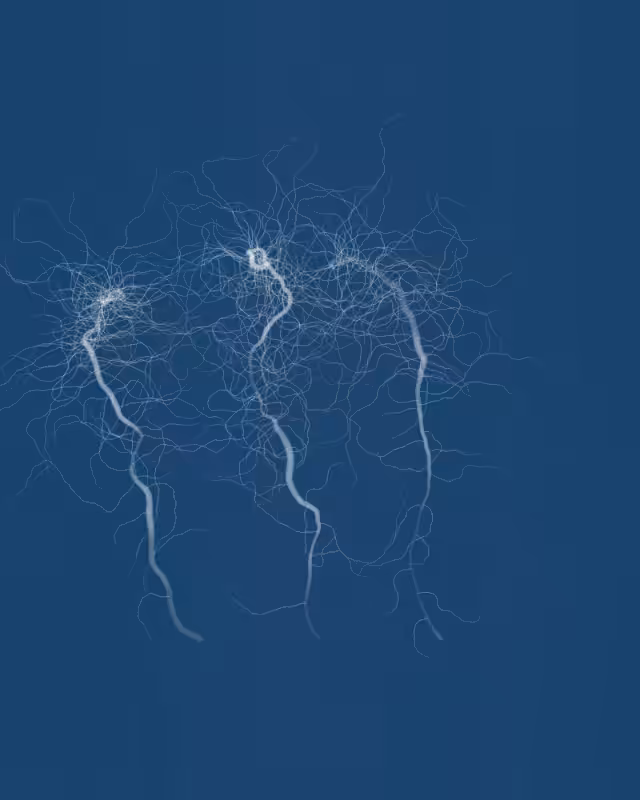 Cyanotypes #230