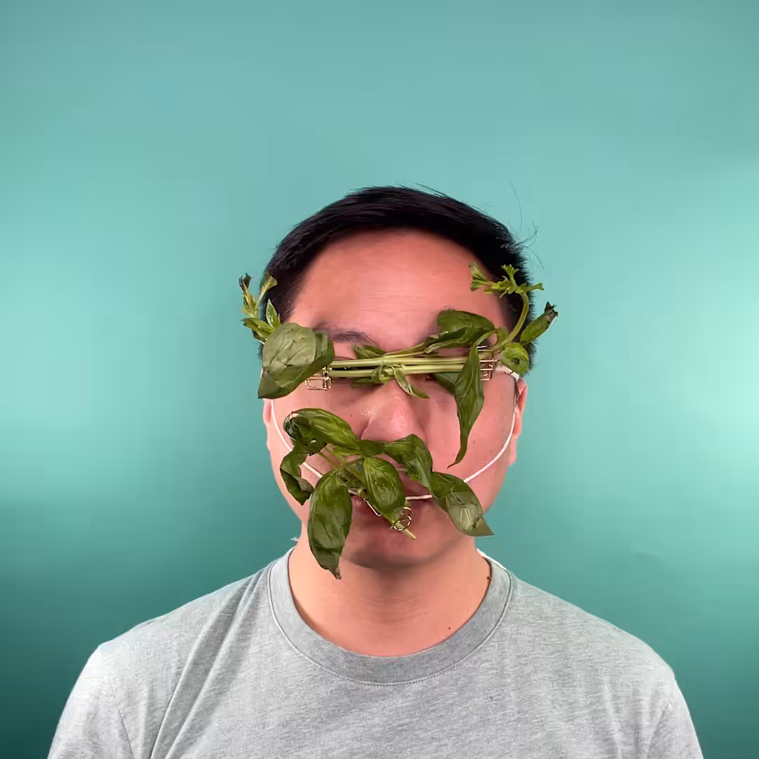 Basil