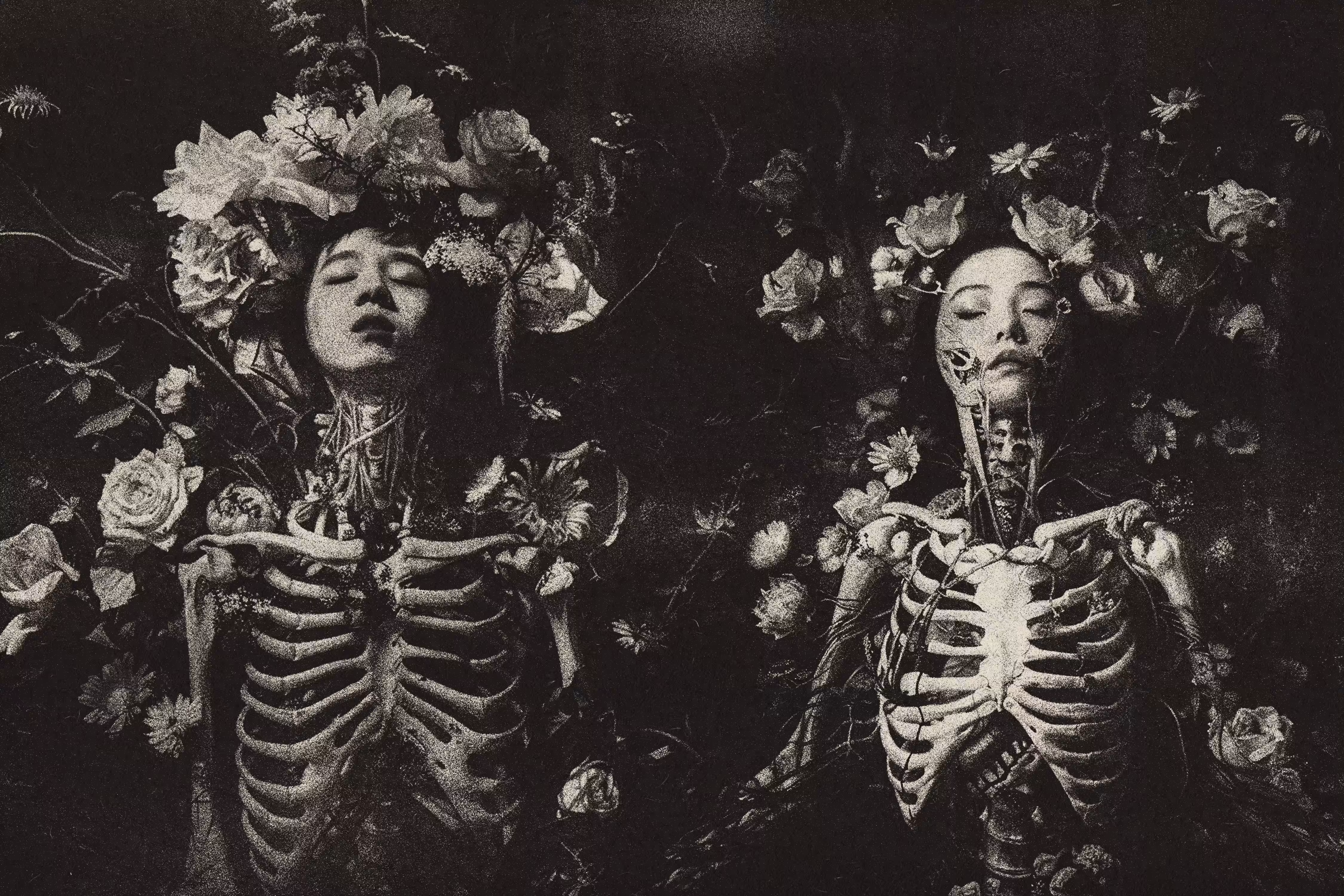 Voices of flowers