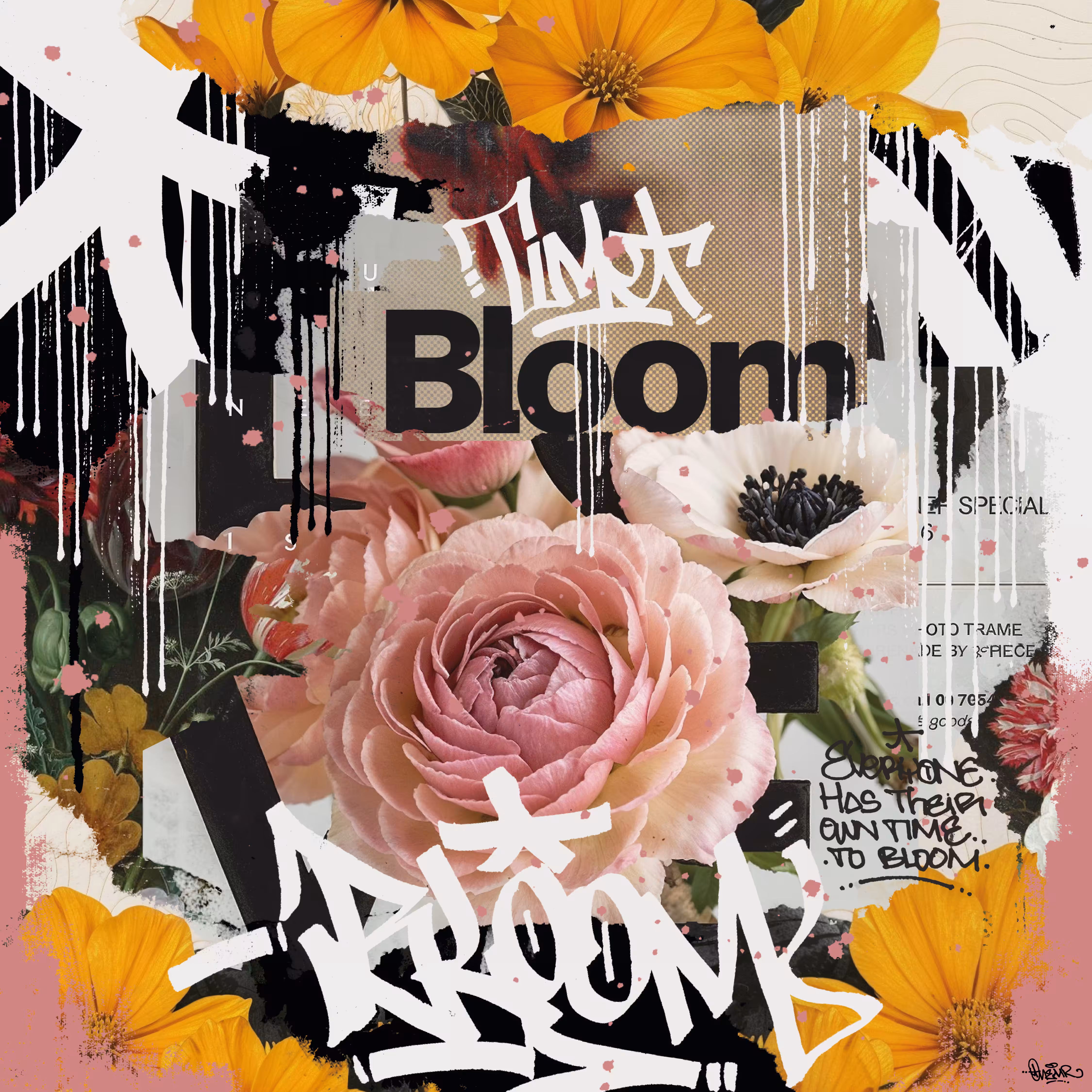 Bloom