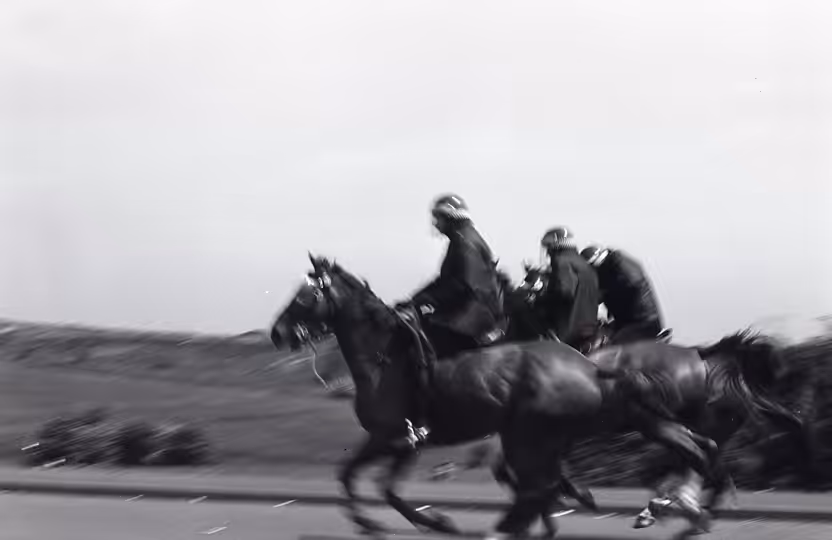 Horse Race
