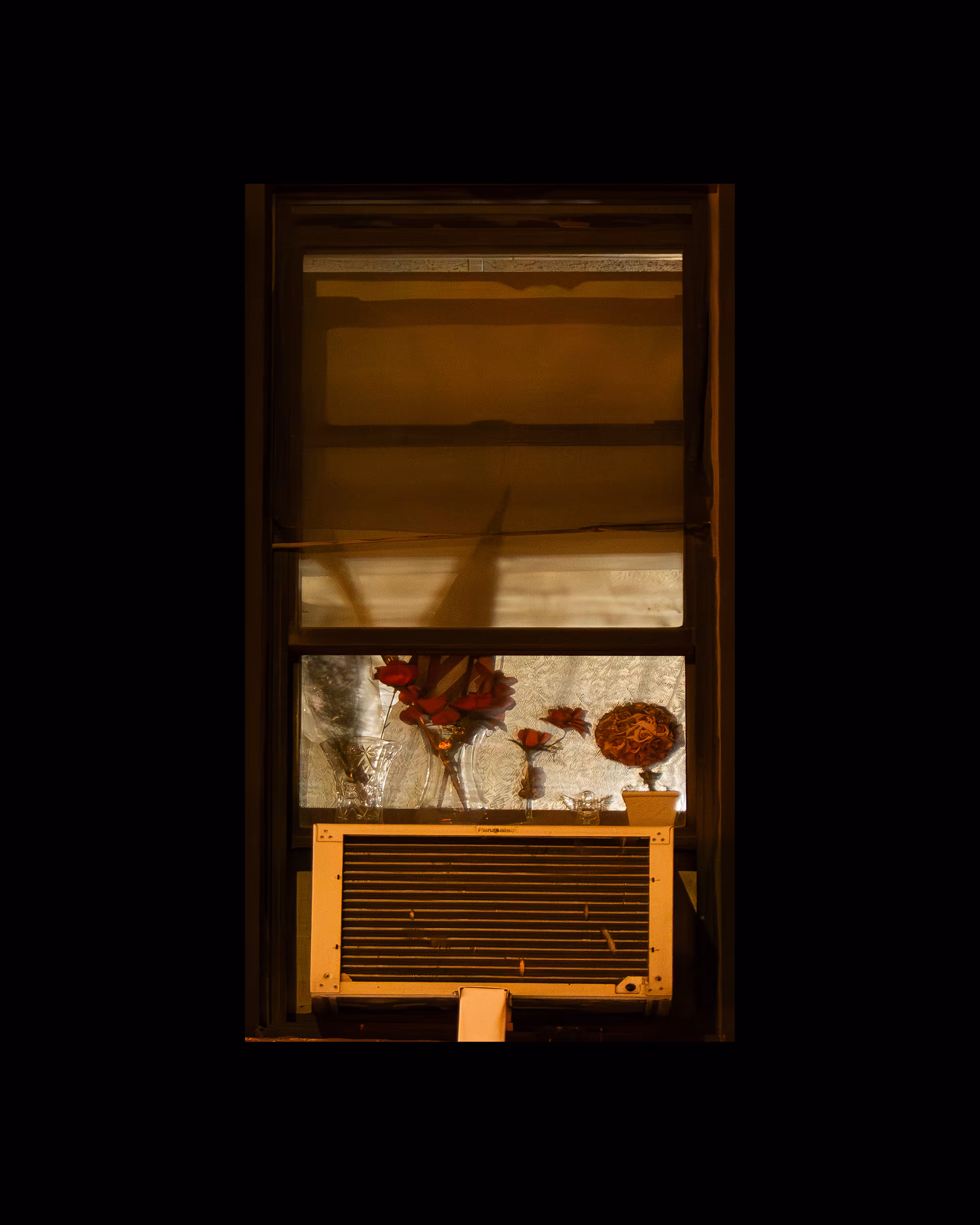 WINDOW 491