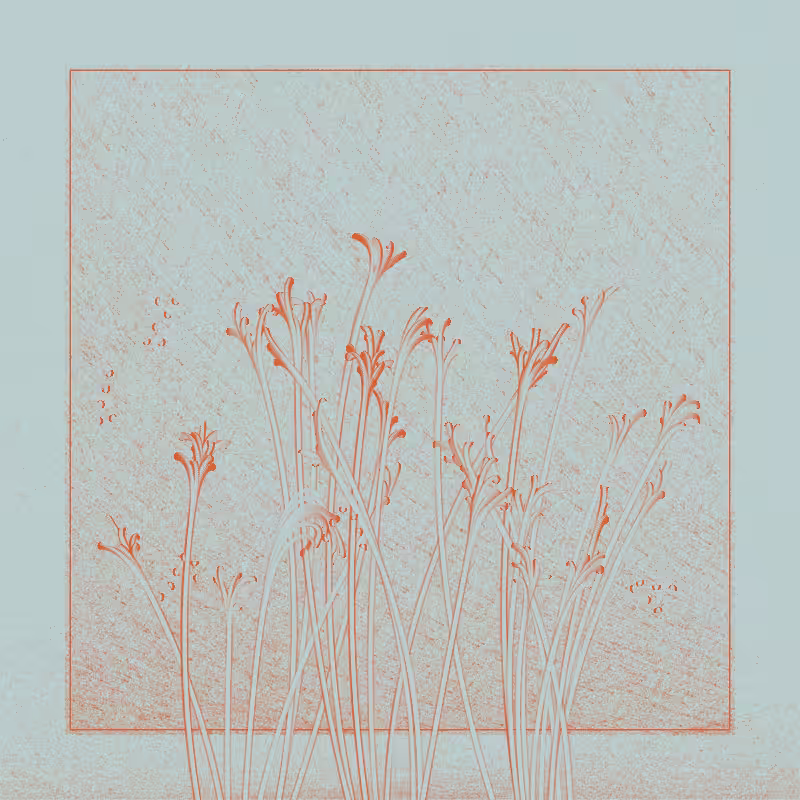 string_pllu #95