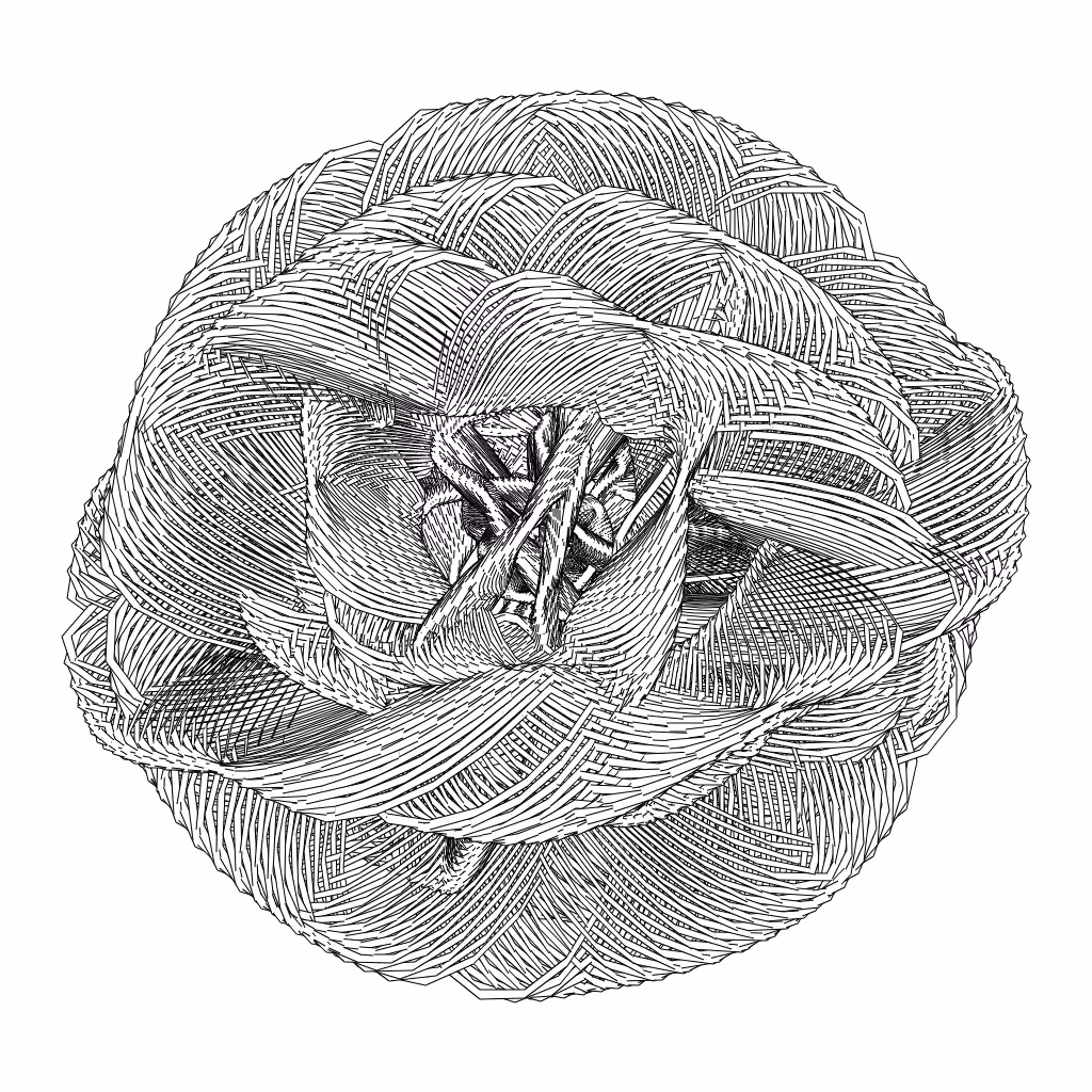 LL21 Entangled (3) #432