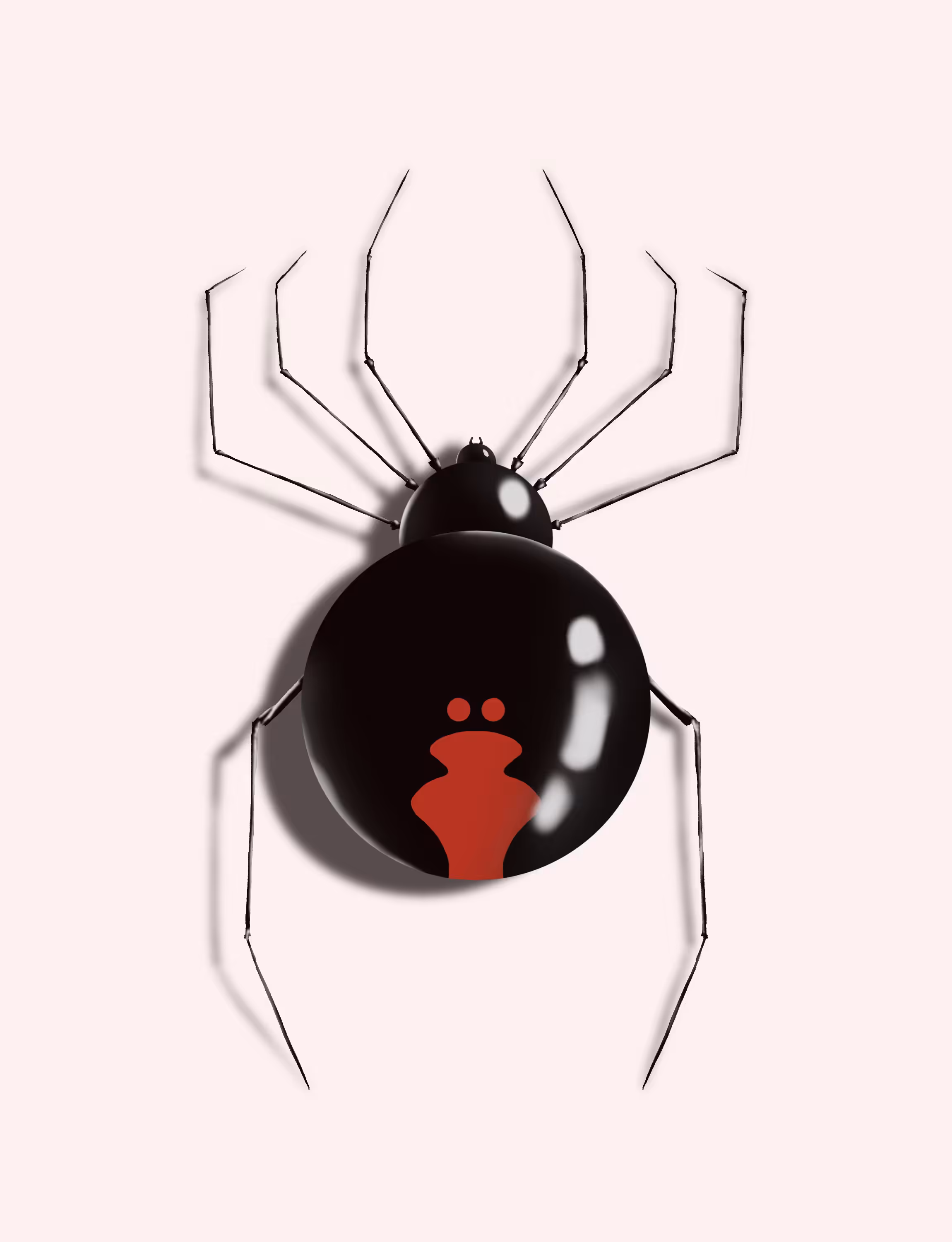 TEZSpider #17