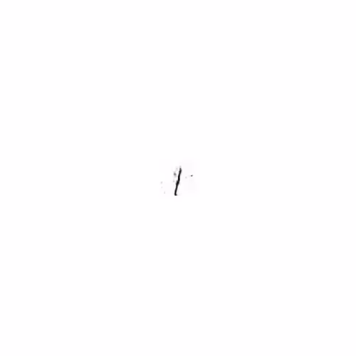 Single Character Loops #1