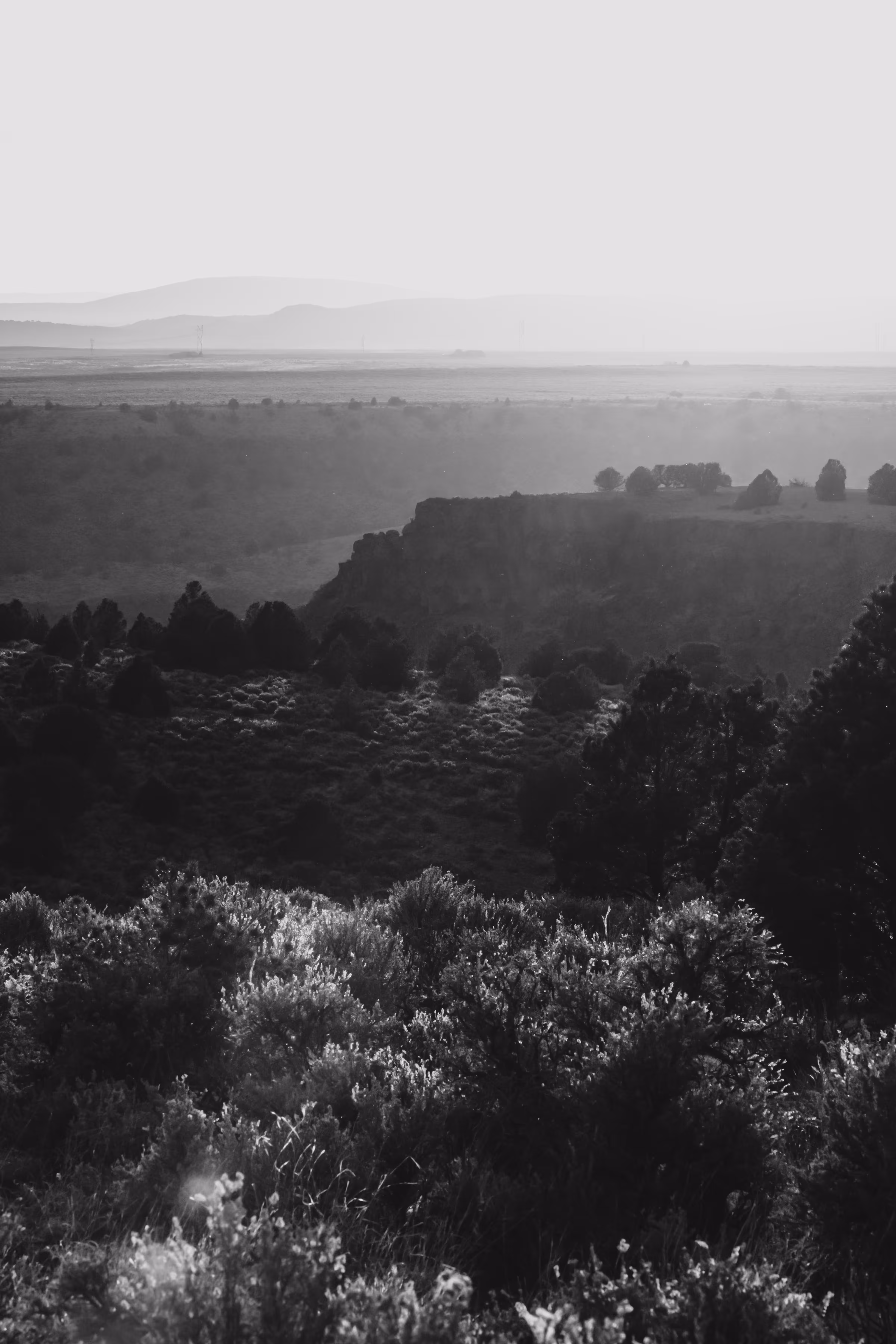 Taos Mesa at the Gorge