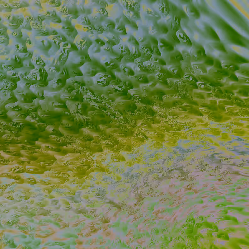 Noise Corals #55