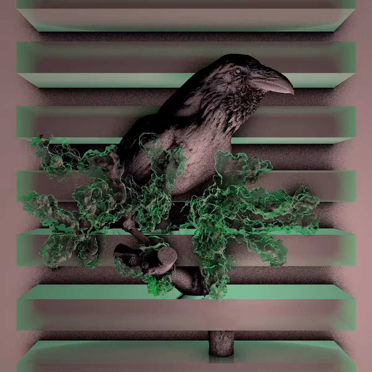 BEAK_____________________________________________.2