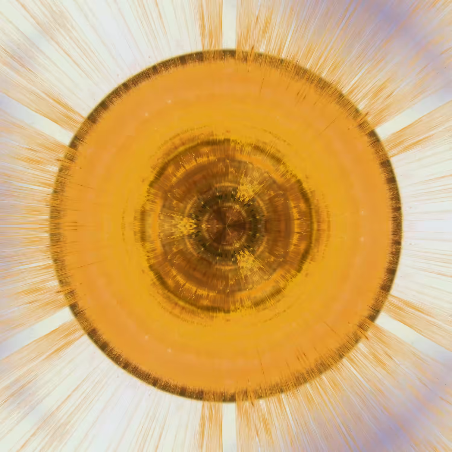 Summer Mandala