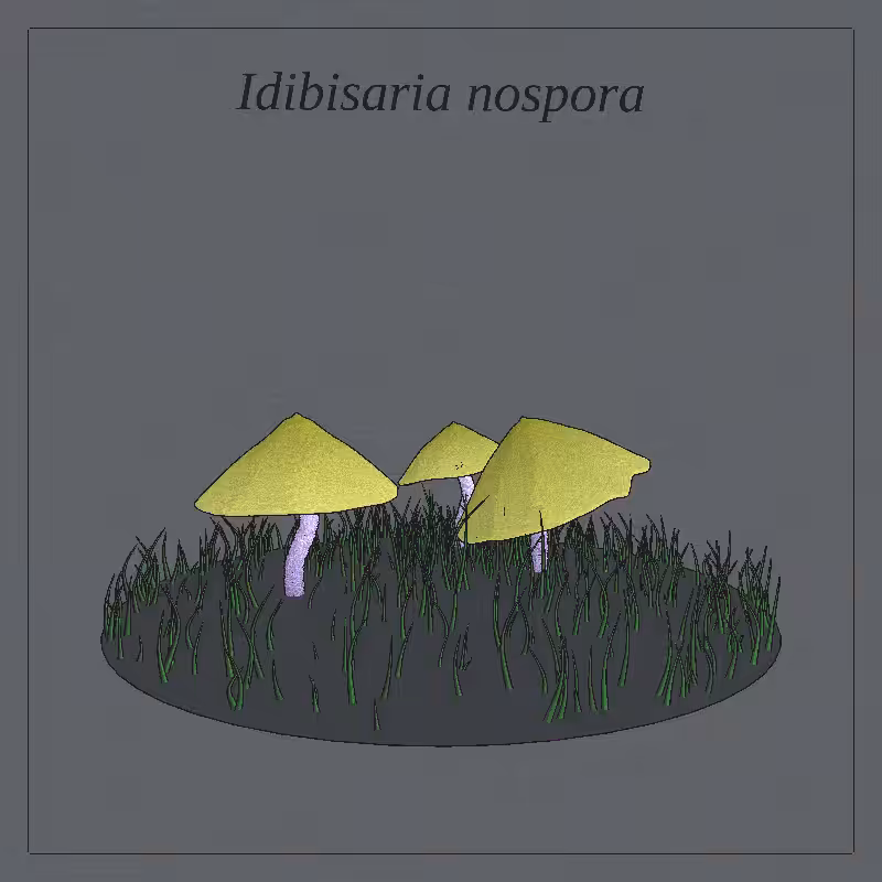 SHROOMS 3D #40
