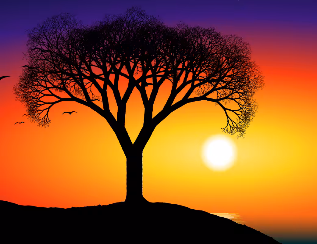 This Tree #18
