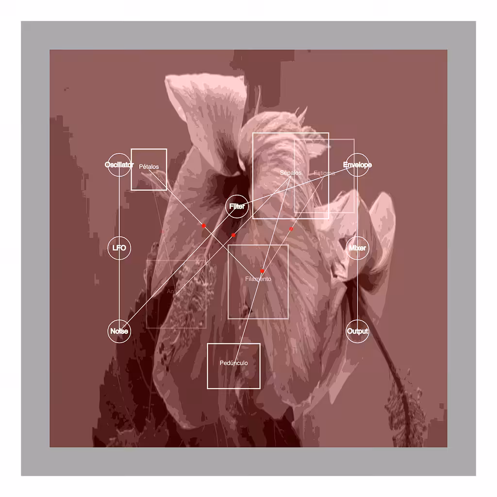 The thirsty flower
