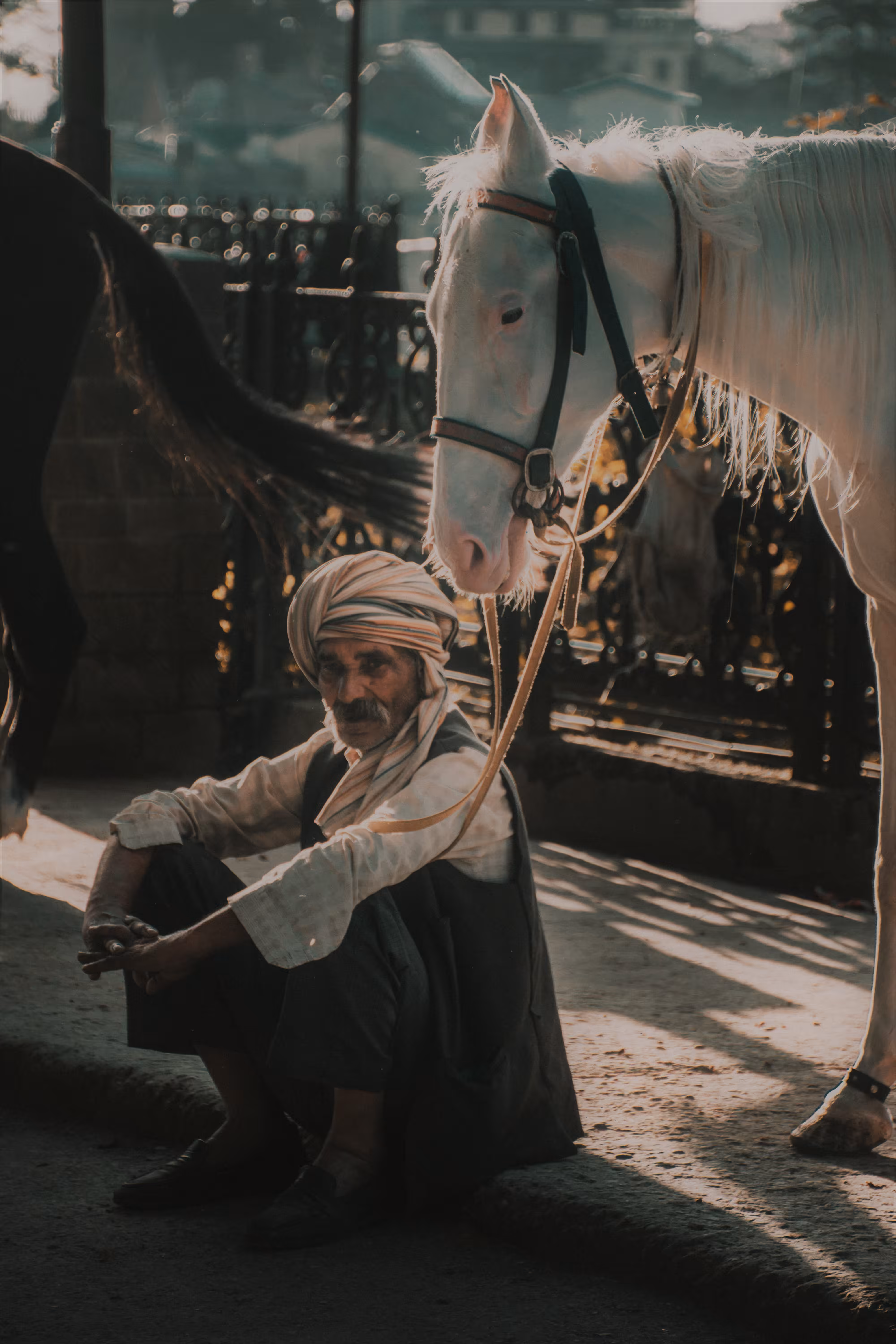 Musafir