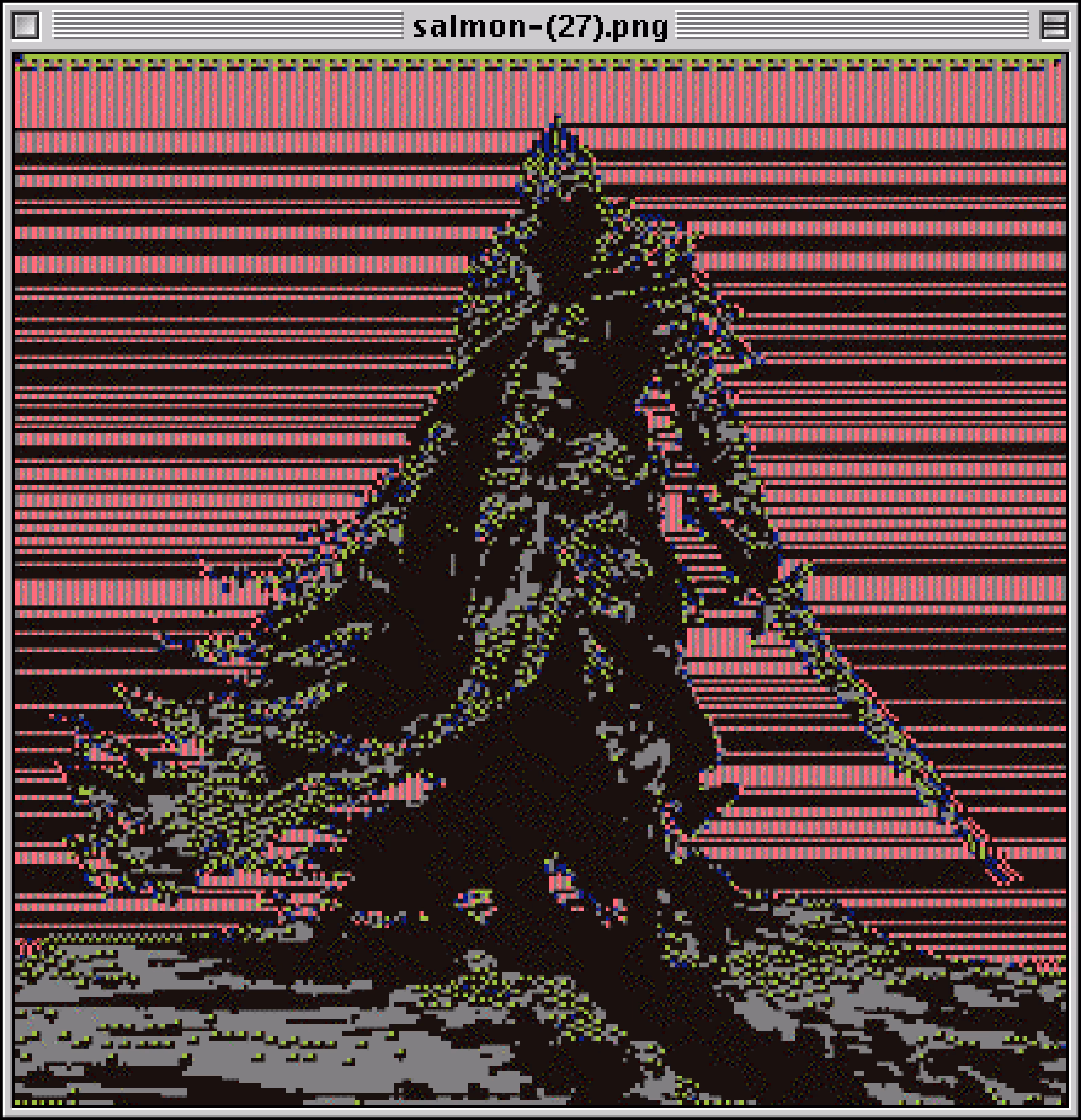 salmon-(27).png