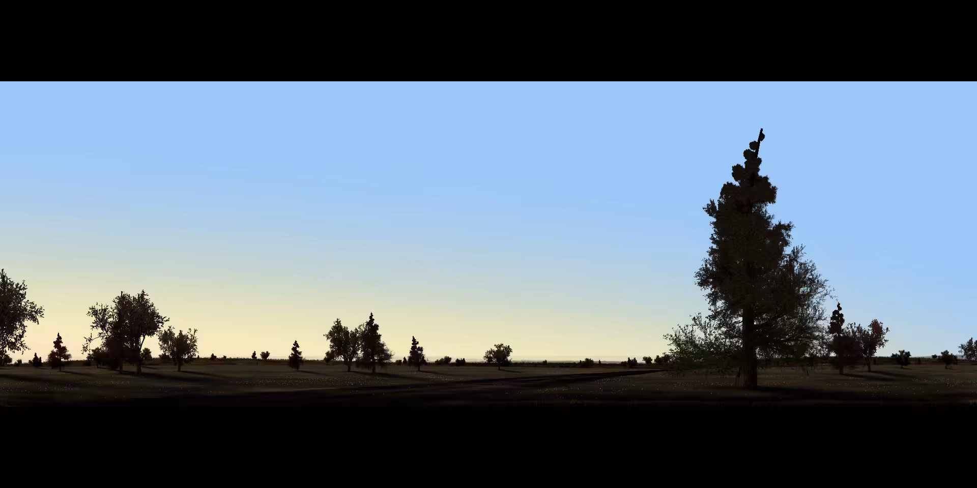 Mornings #6